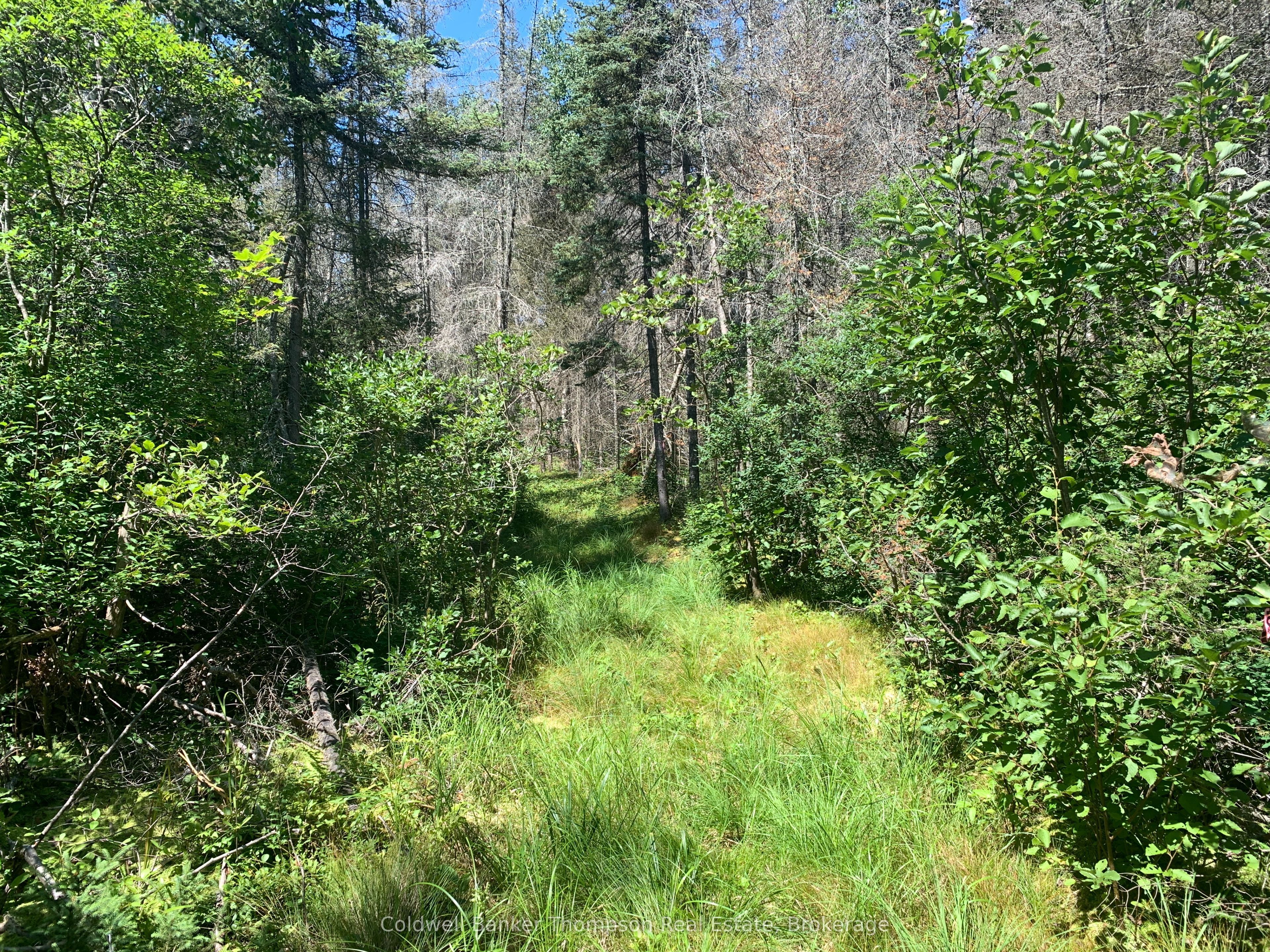 Lot 3 Brennan's Road Property Photo 15