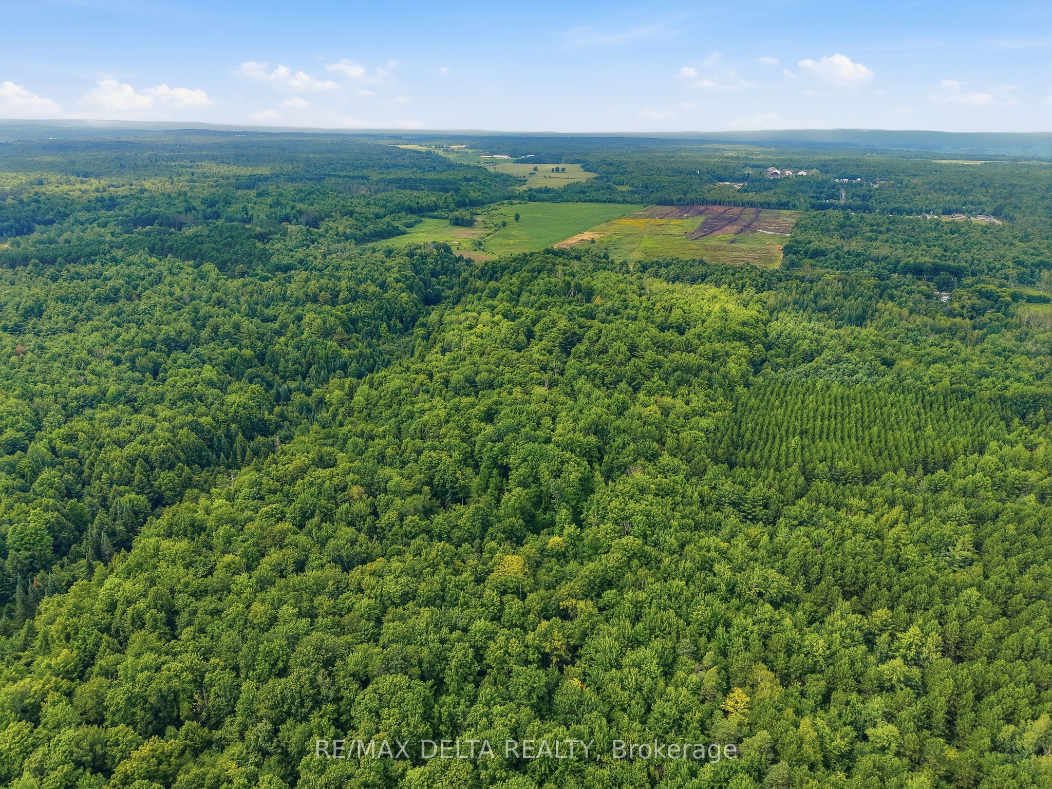 264 Concession 7 Road Property Photo 31