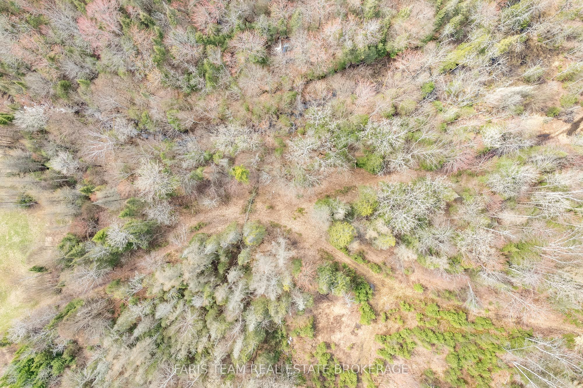376 Riding Ranch Road Property Photo 30