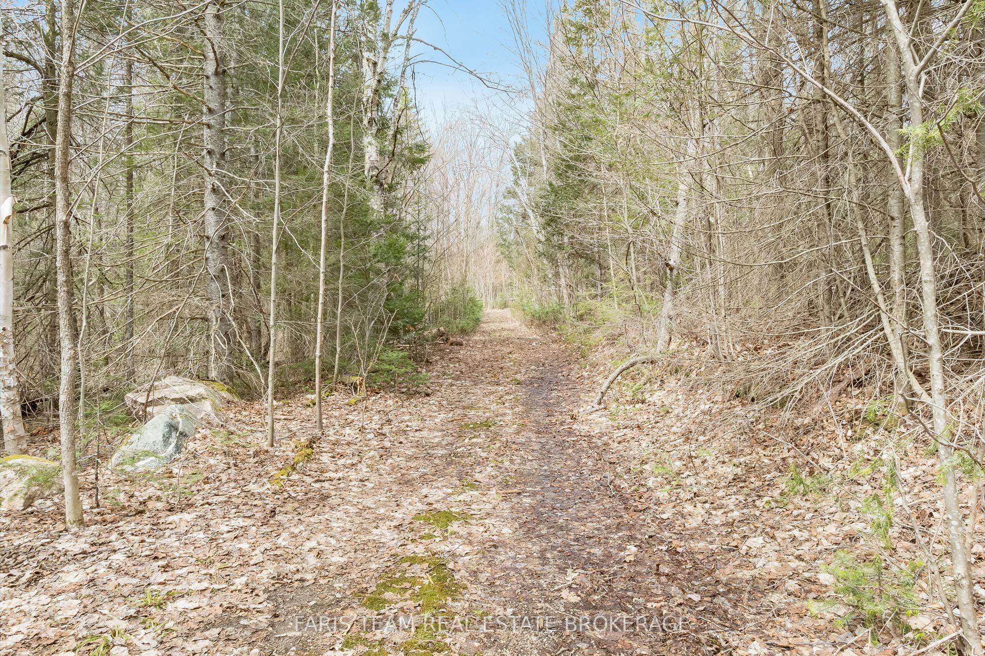 376 Riding Ranch Road Property Photo 31