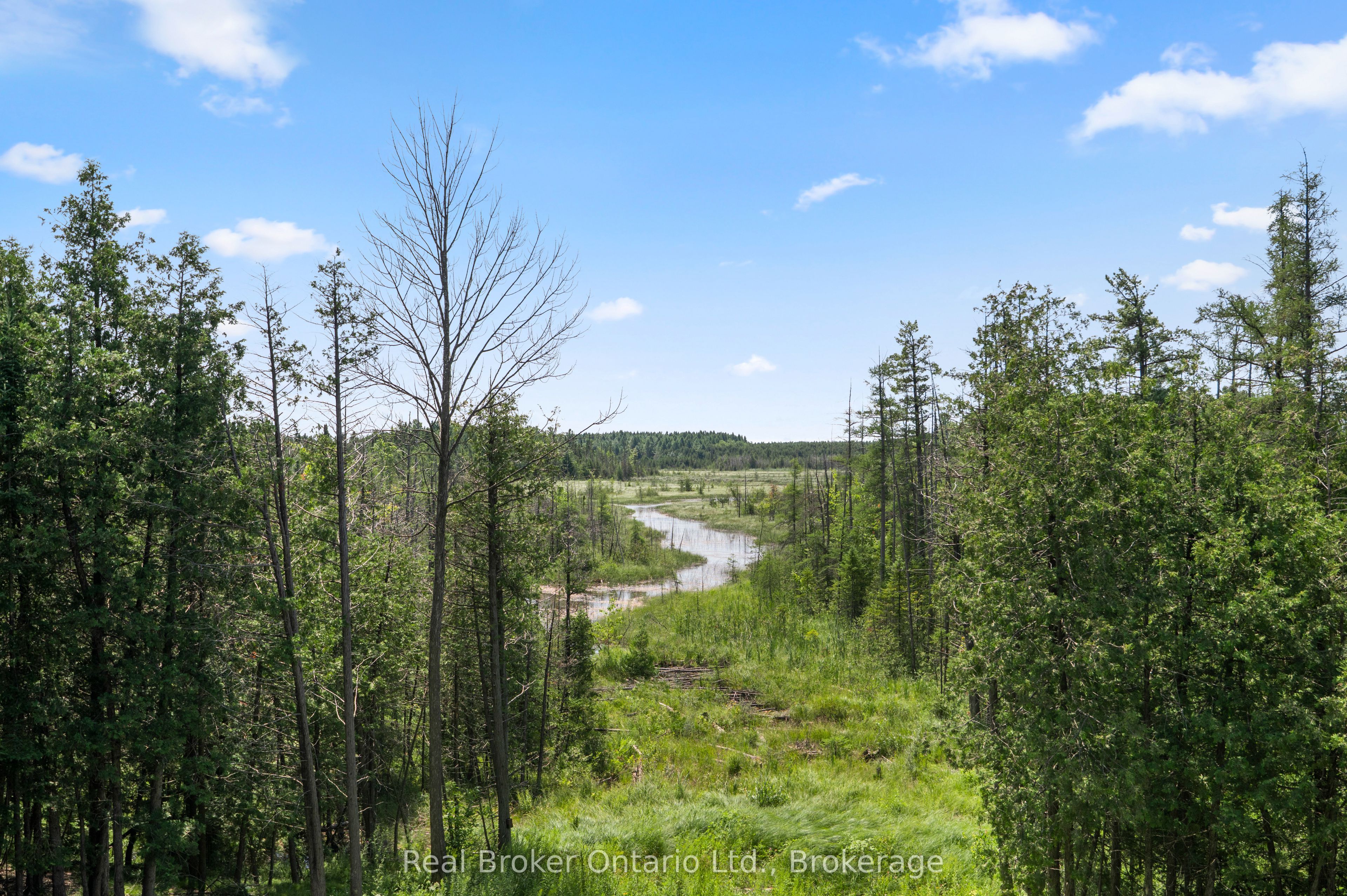 156 Pine View Drive Property Photo 18