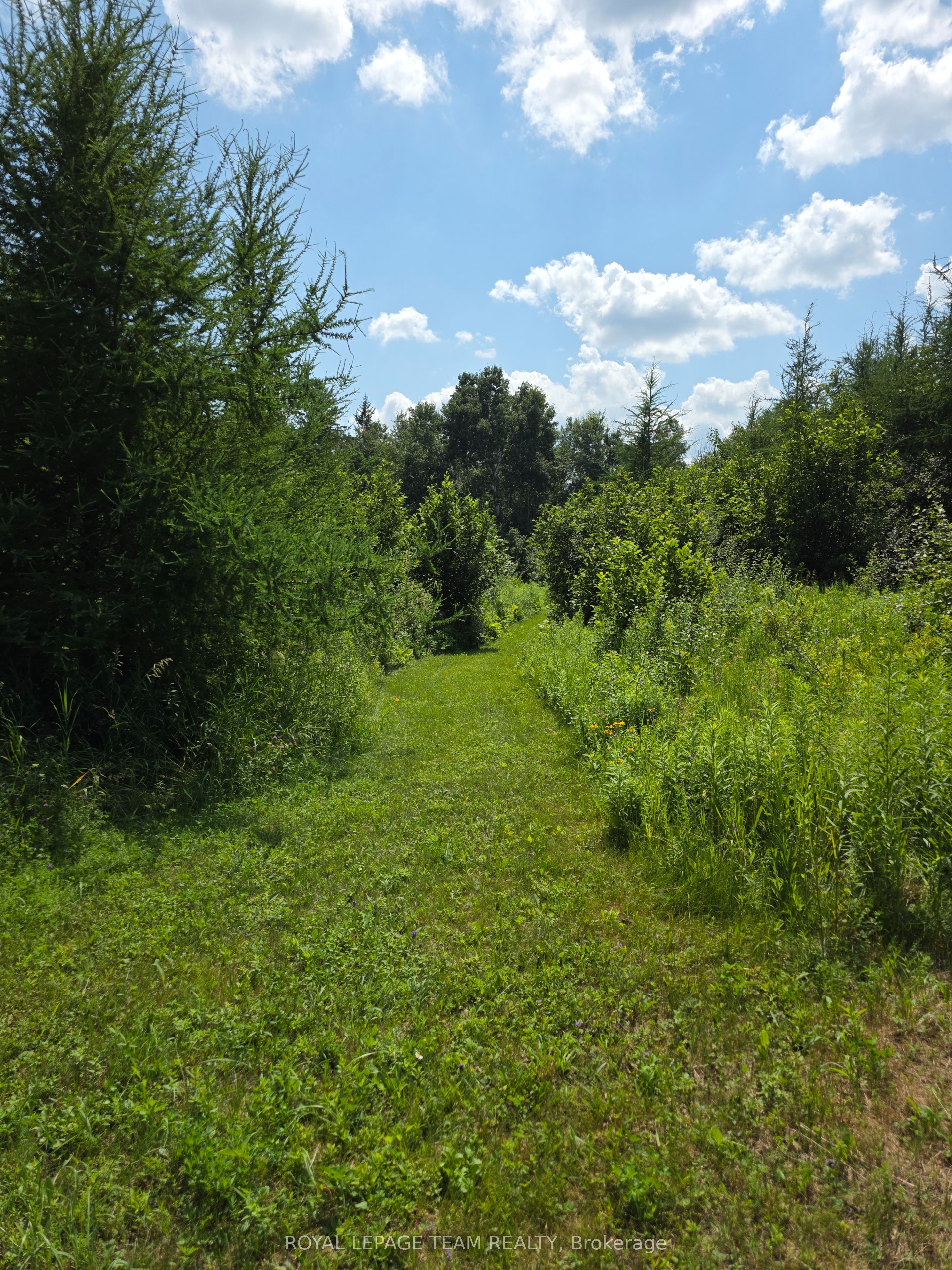 2630 Mcmullen Road Property Photo 10