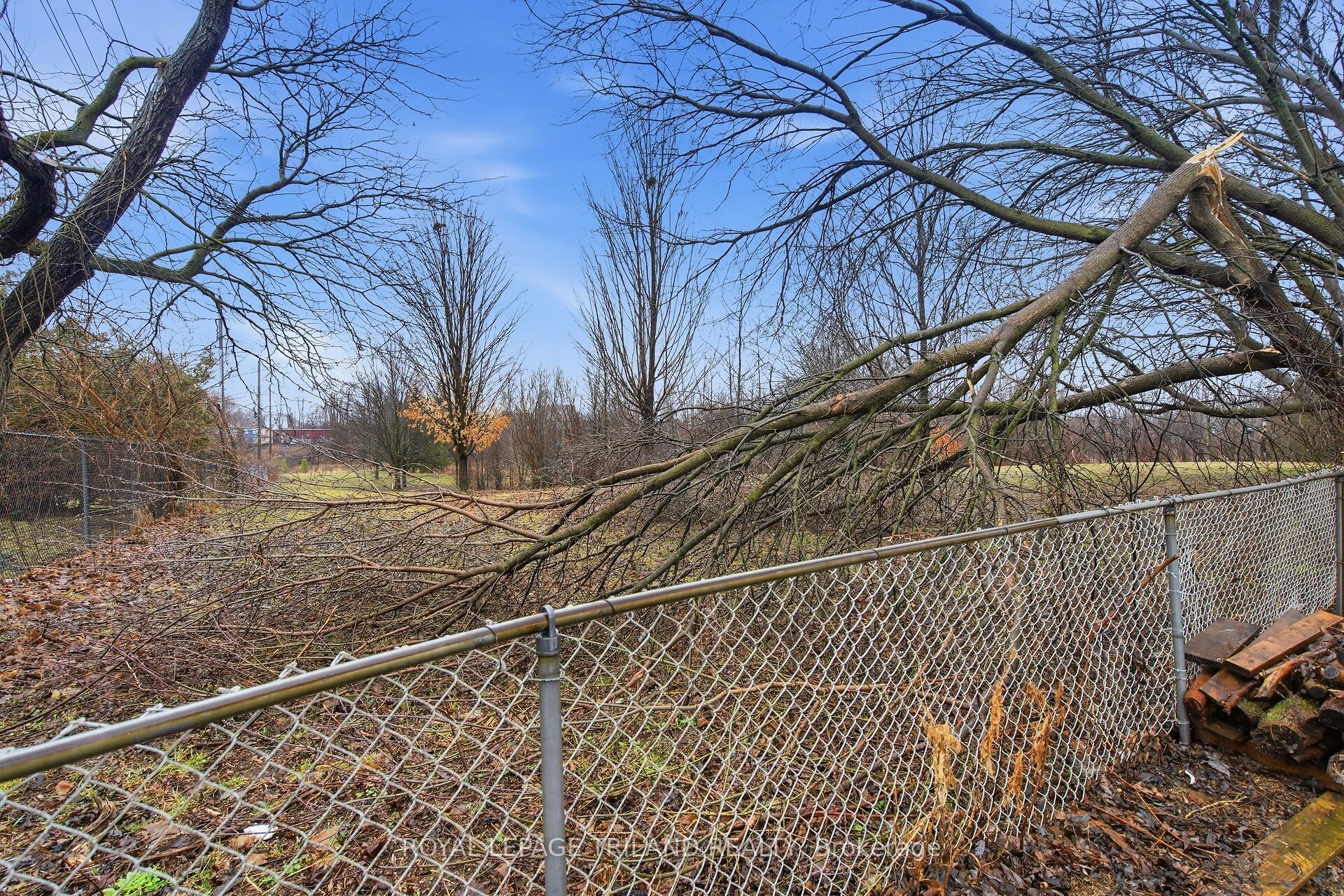 125 Connaught Avenue Property Photo 29