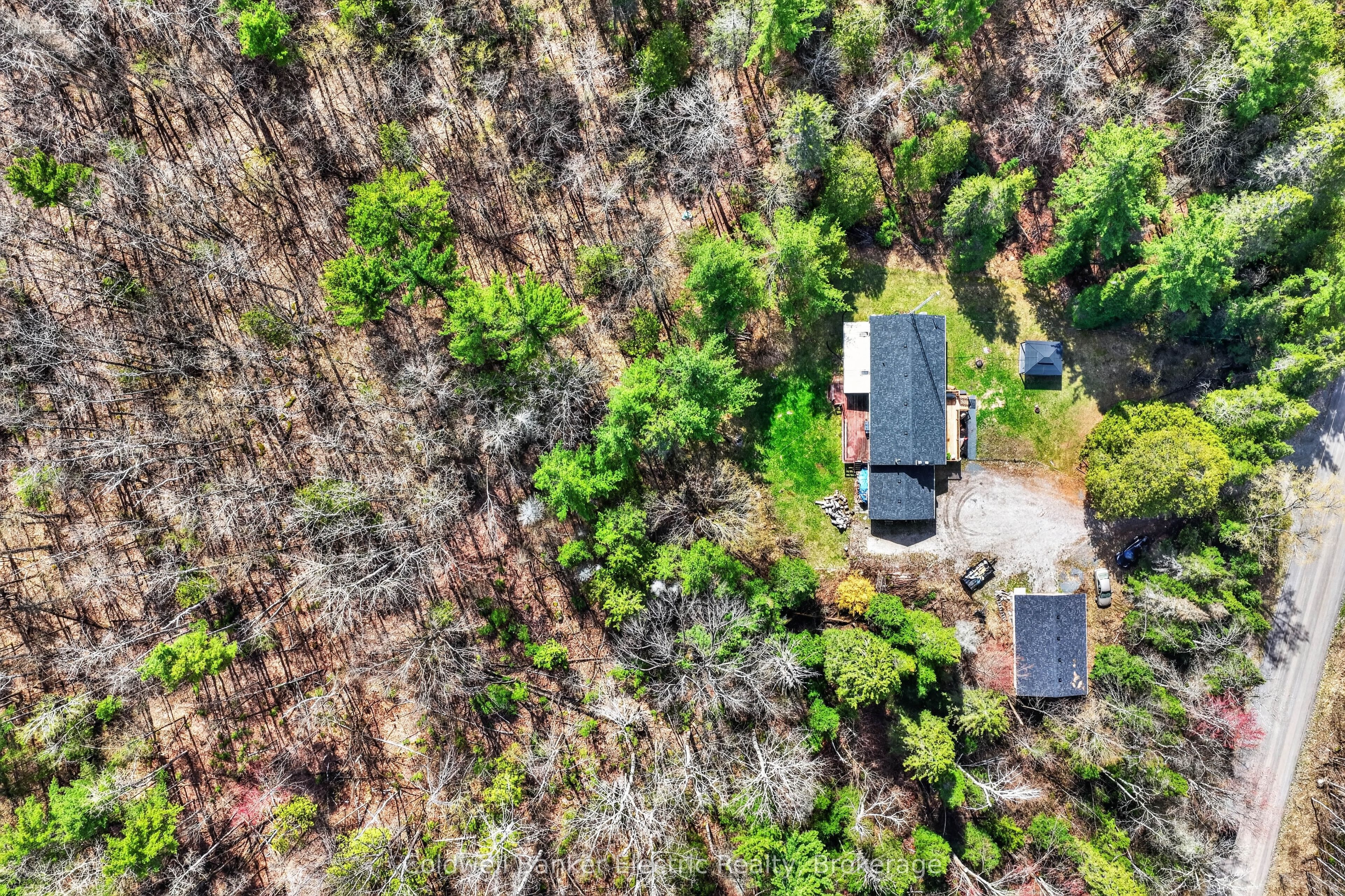 517 2nd Line Belmont Property Photo 42
