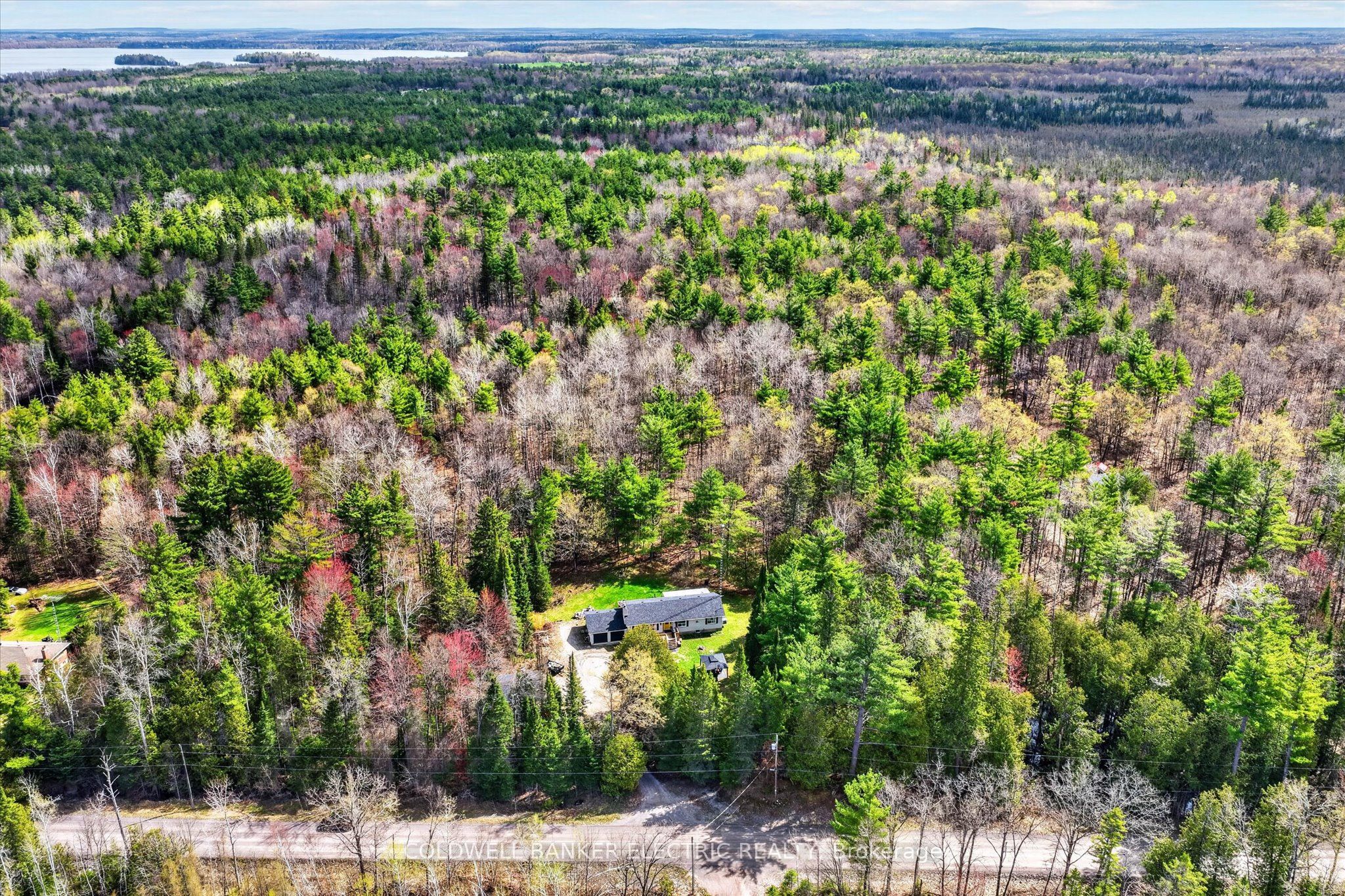517 2nd Line Belmont Property Photo 44