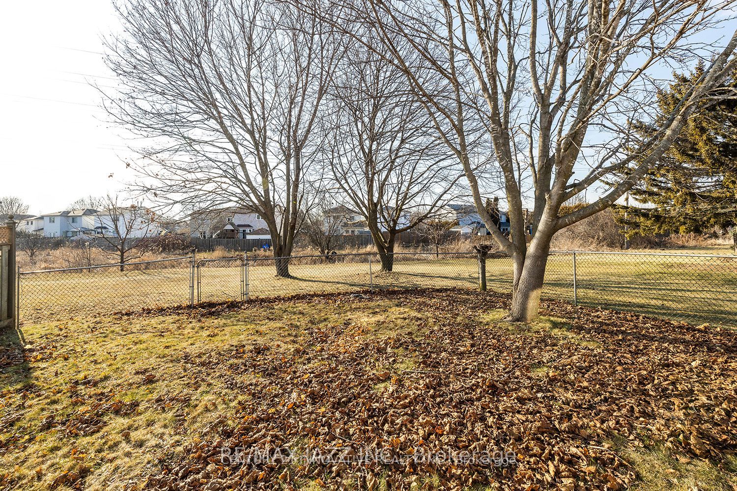 125 Peacock Boulevard Property Photo 26