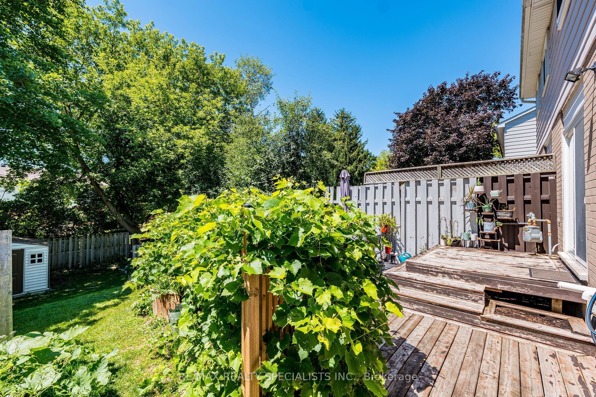 95 Hadati Road Property Photo 44