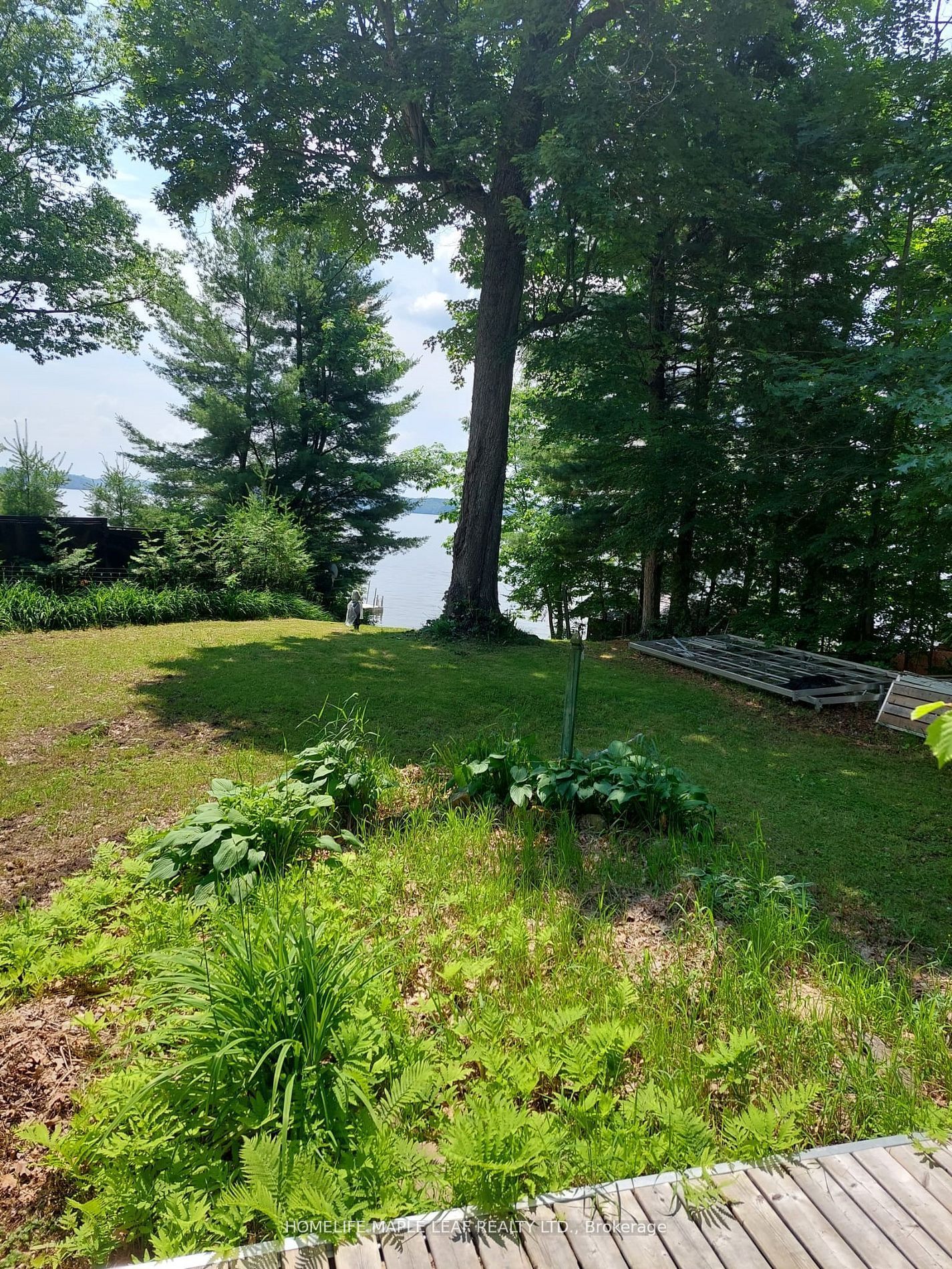 16431 Hwy 35 Property Photo 25