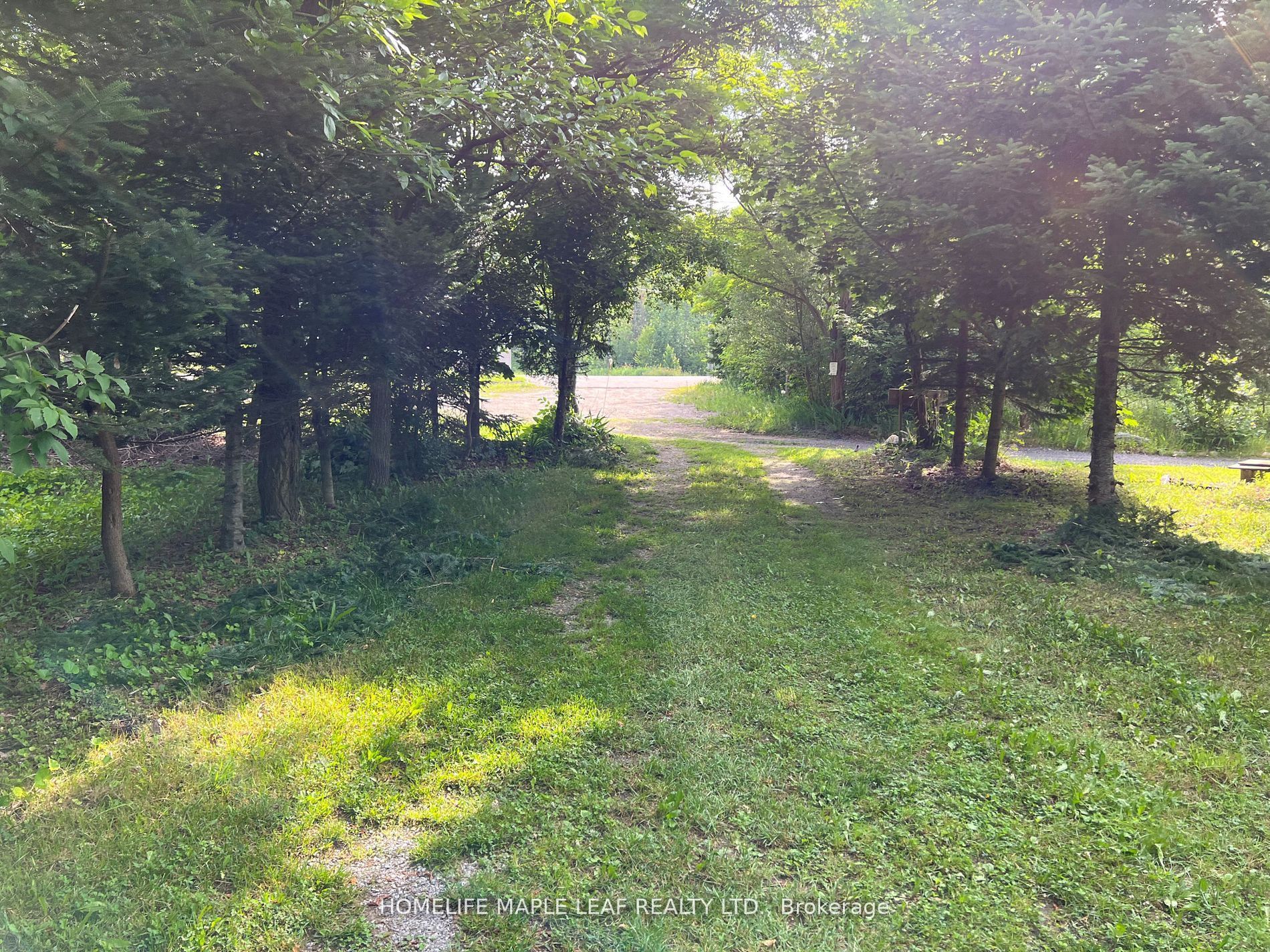 16431 Hwy 35 Property Photo 26