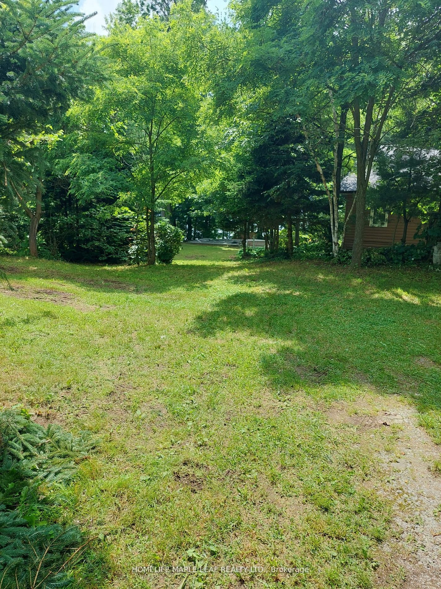 16431 Hwy 35 Property Photo 28