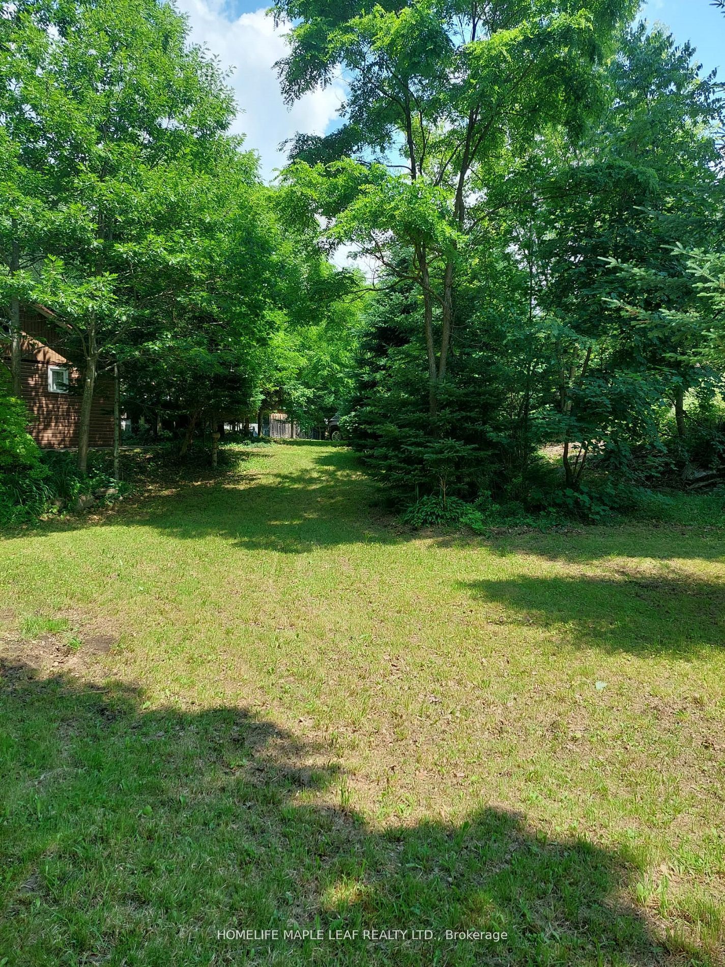 16431 Hwy 35 Property Photo 32