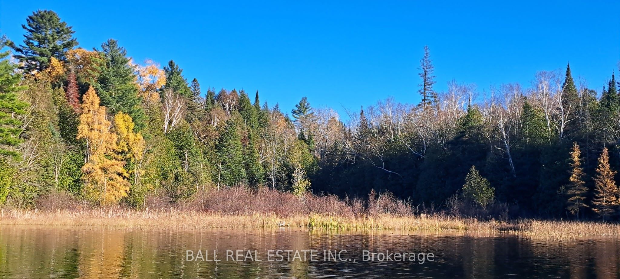 1992 Smith Road Property Photo 2
