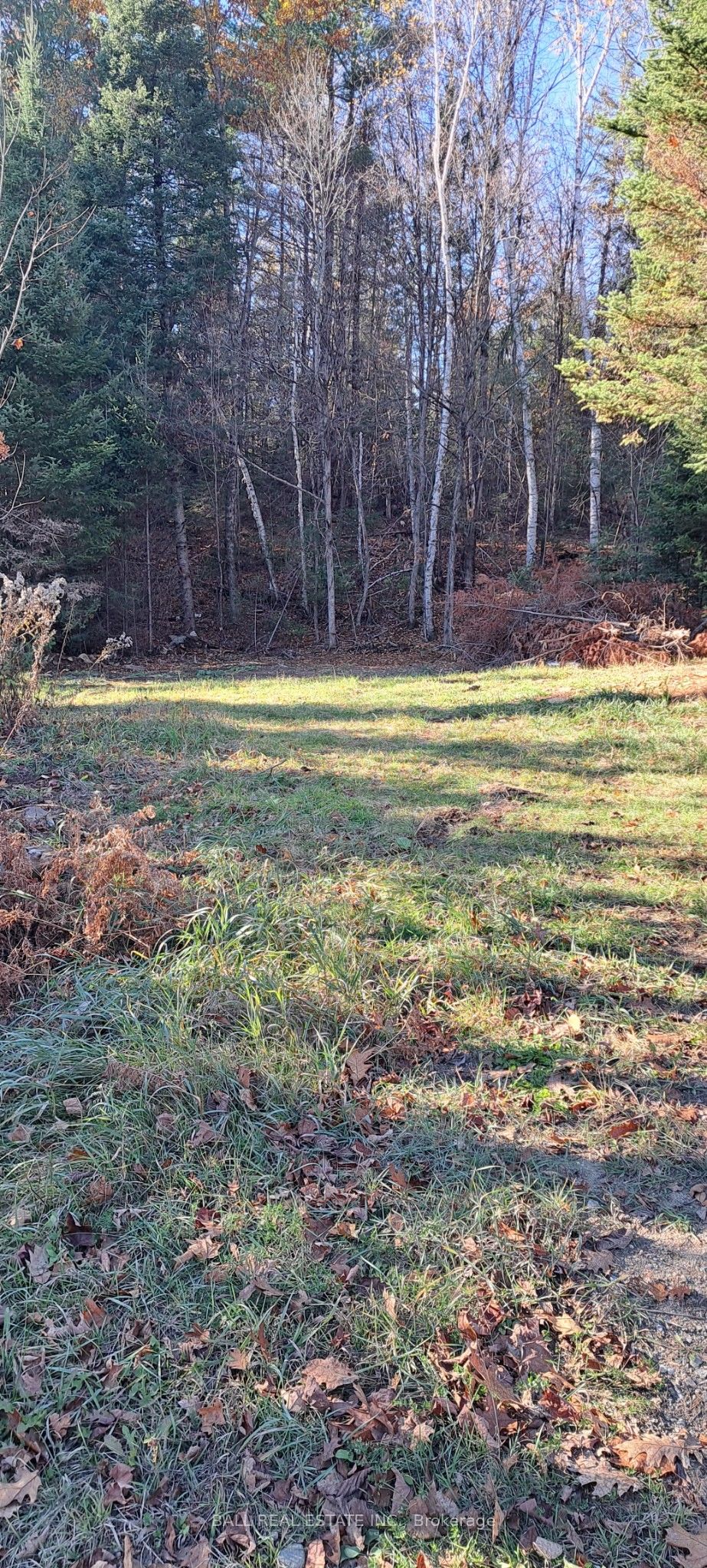 1992 Smith Road Property Photo 3