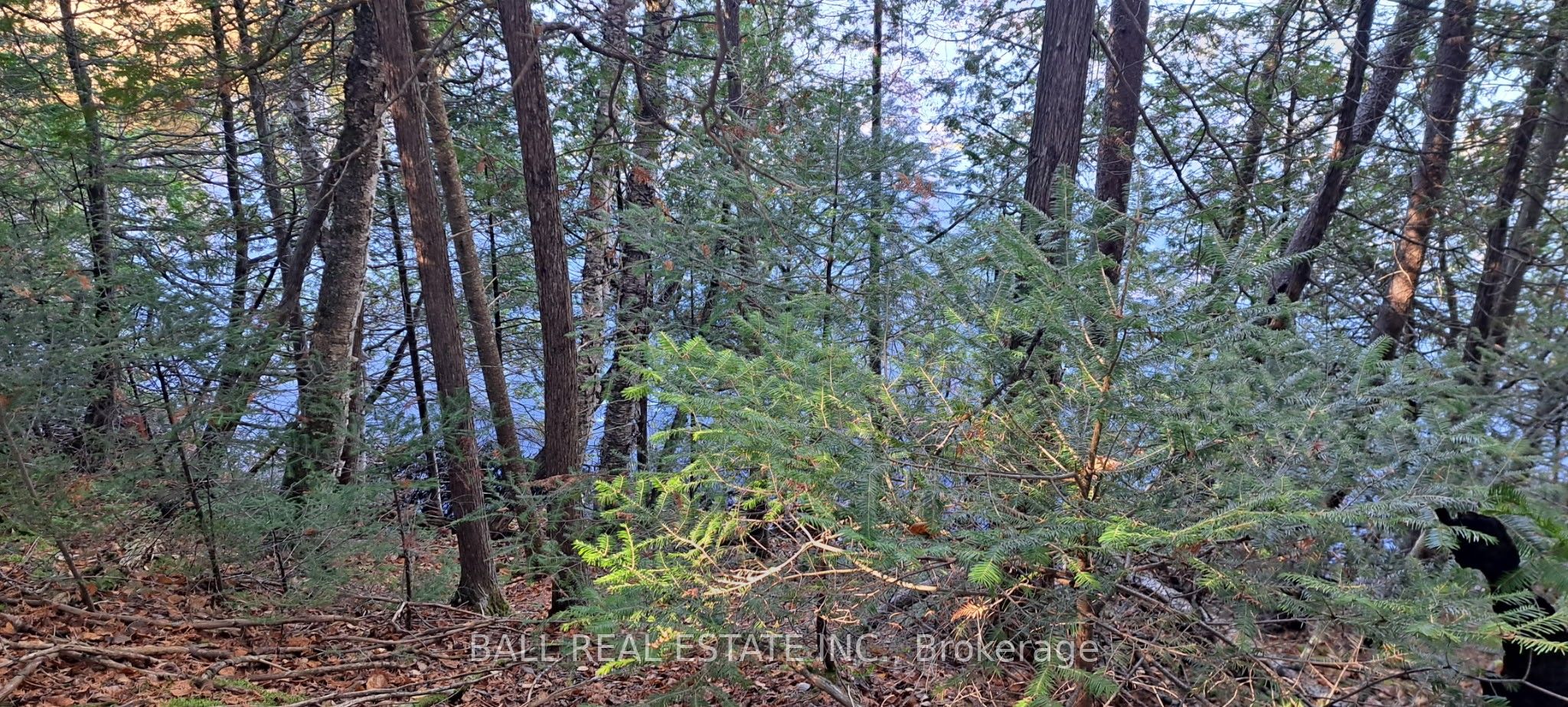 1992 Smith Road Property Photo 5