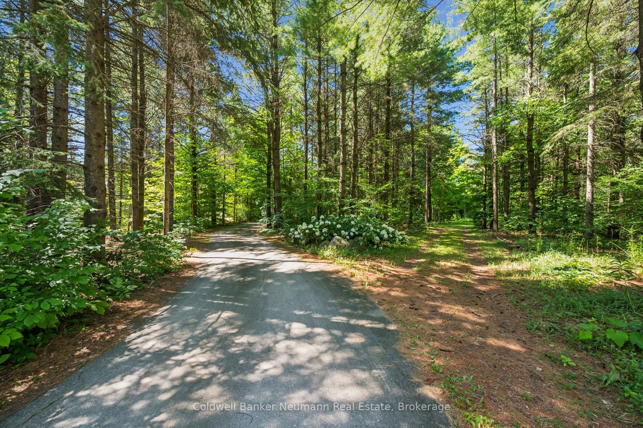 4676 Concession 11 Road Property Photo 4