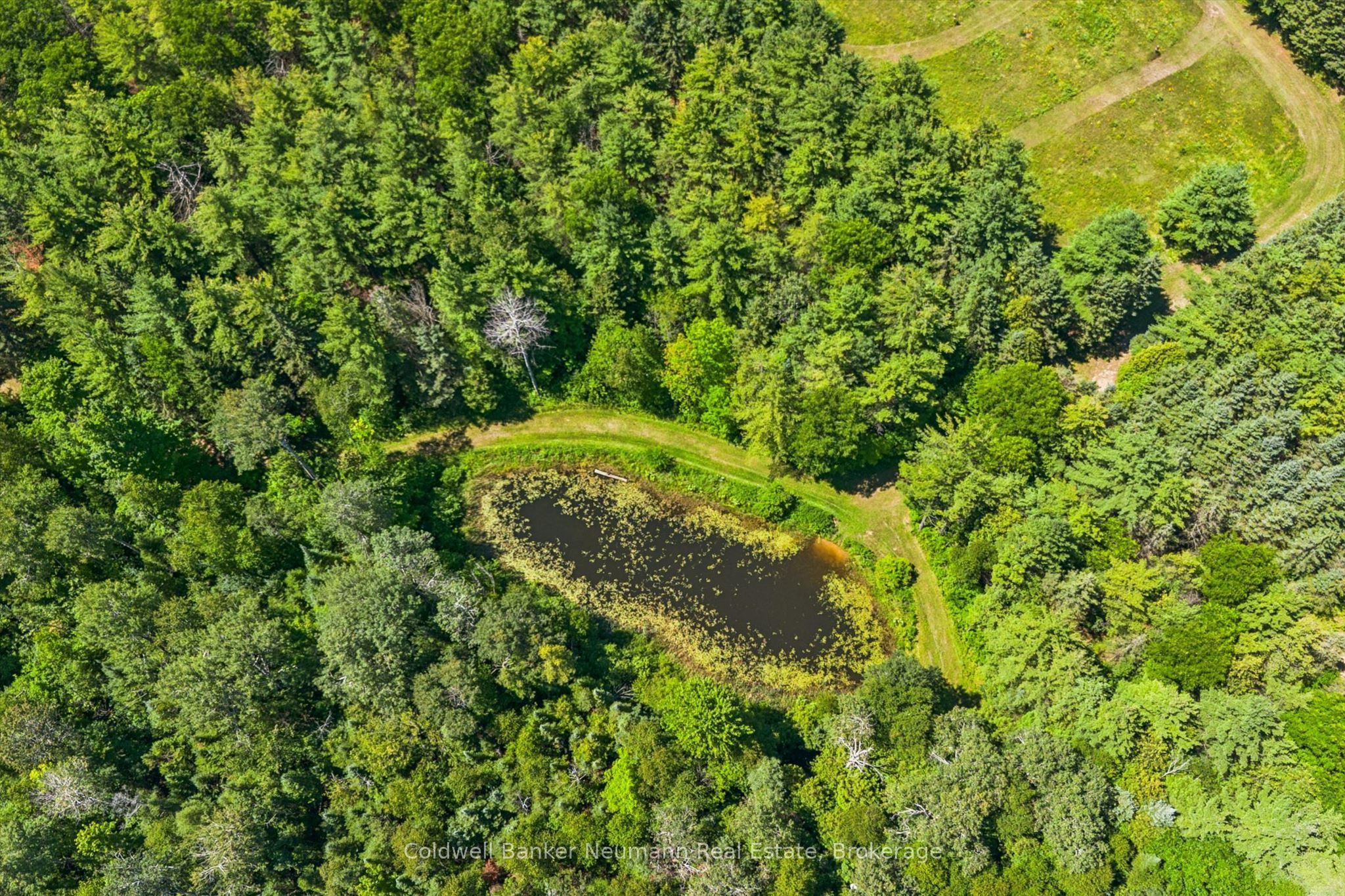 4676 Concession 11 Road Property Photo 47