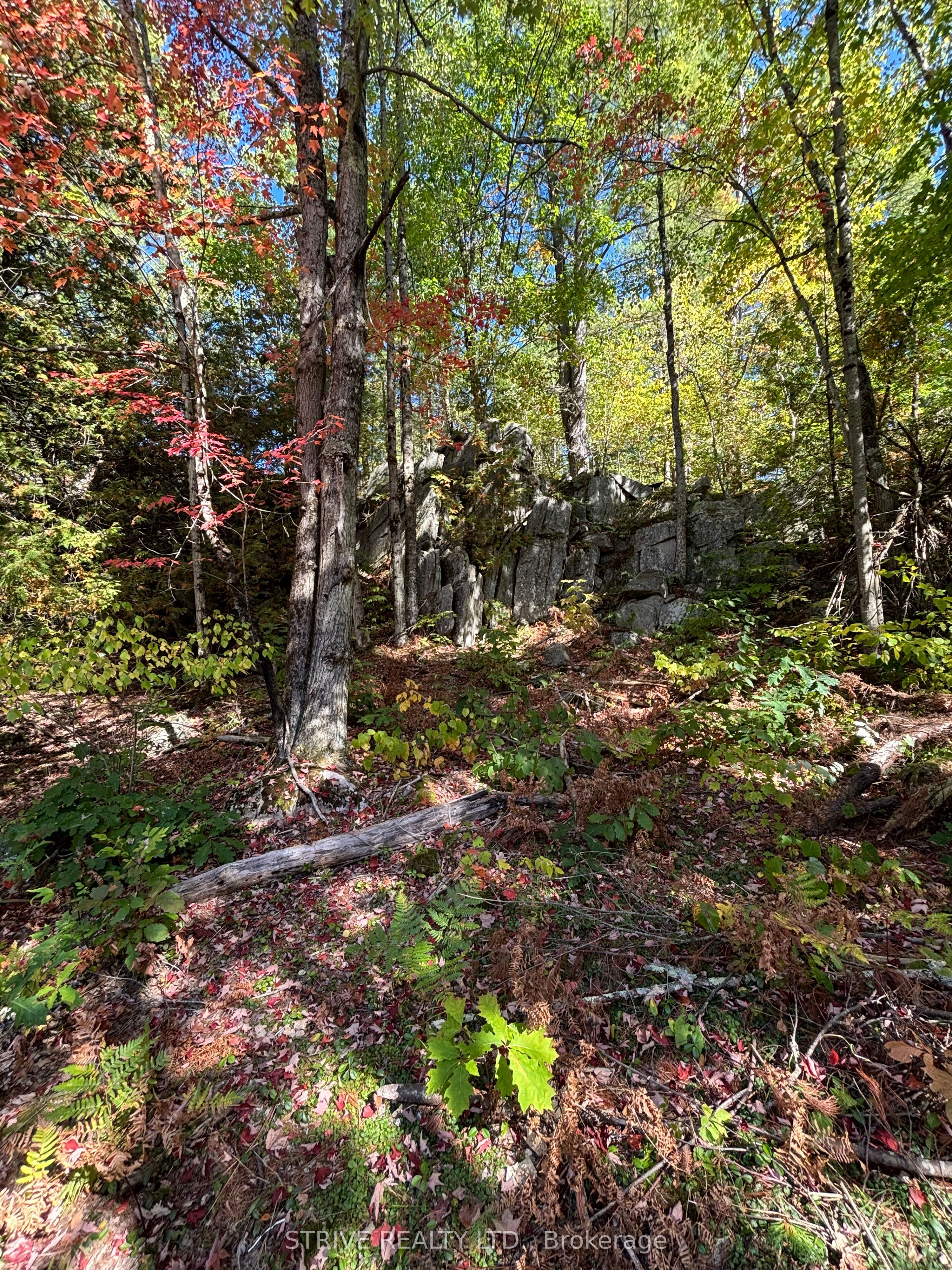 206i Kehoe Lane Property Photo 11