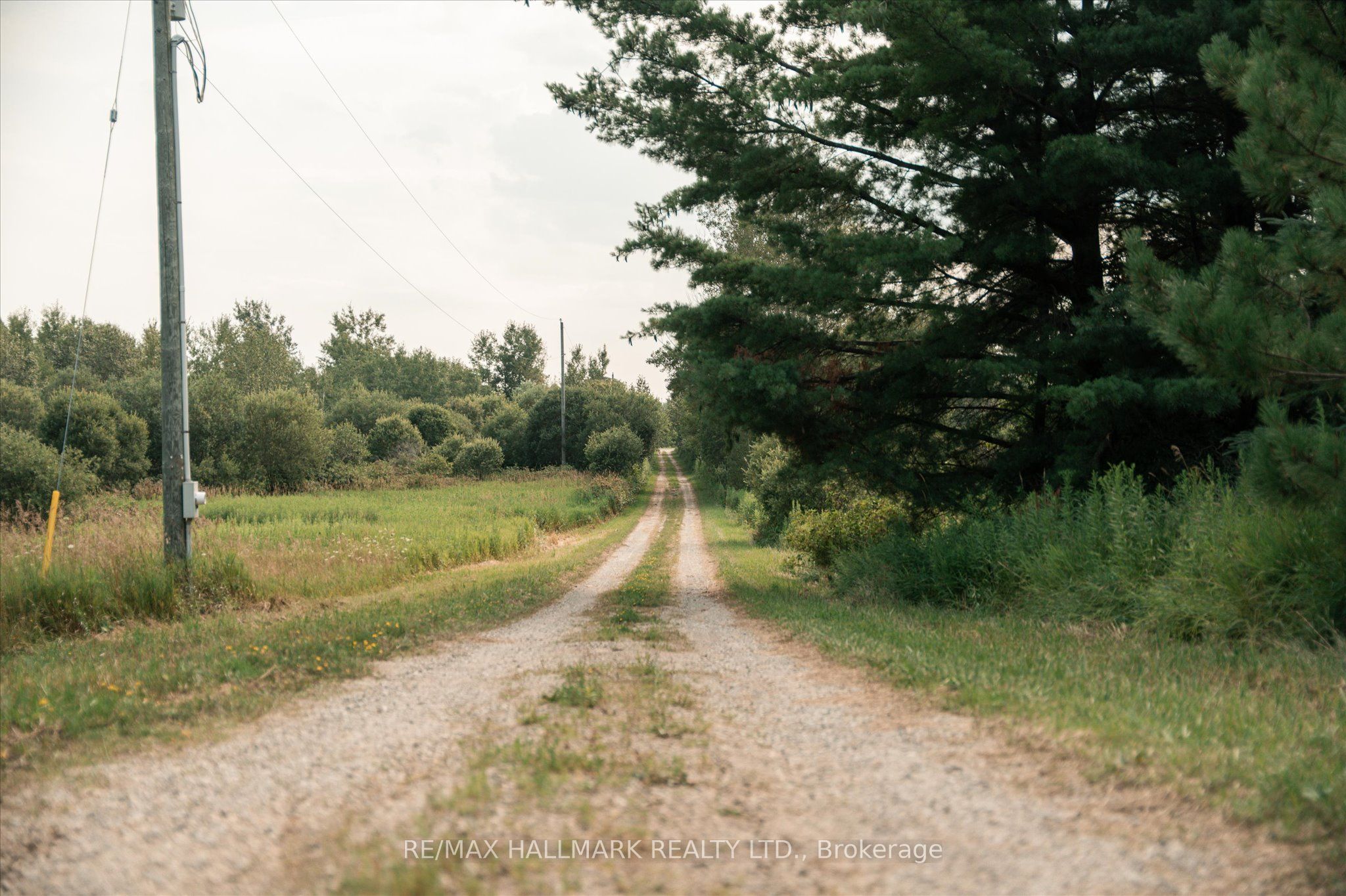 191555 13 Line Property Photo 46