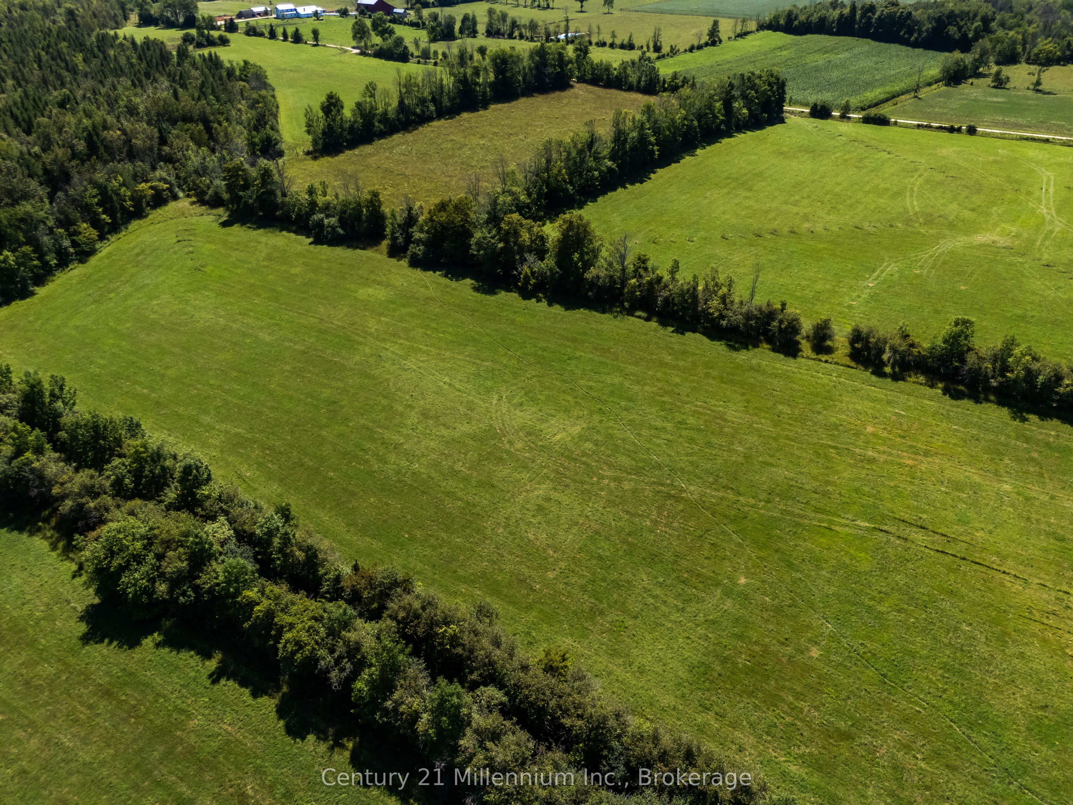 702174 Sideroad 5 Property Photo 18