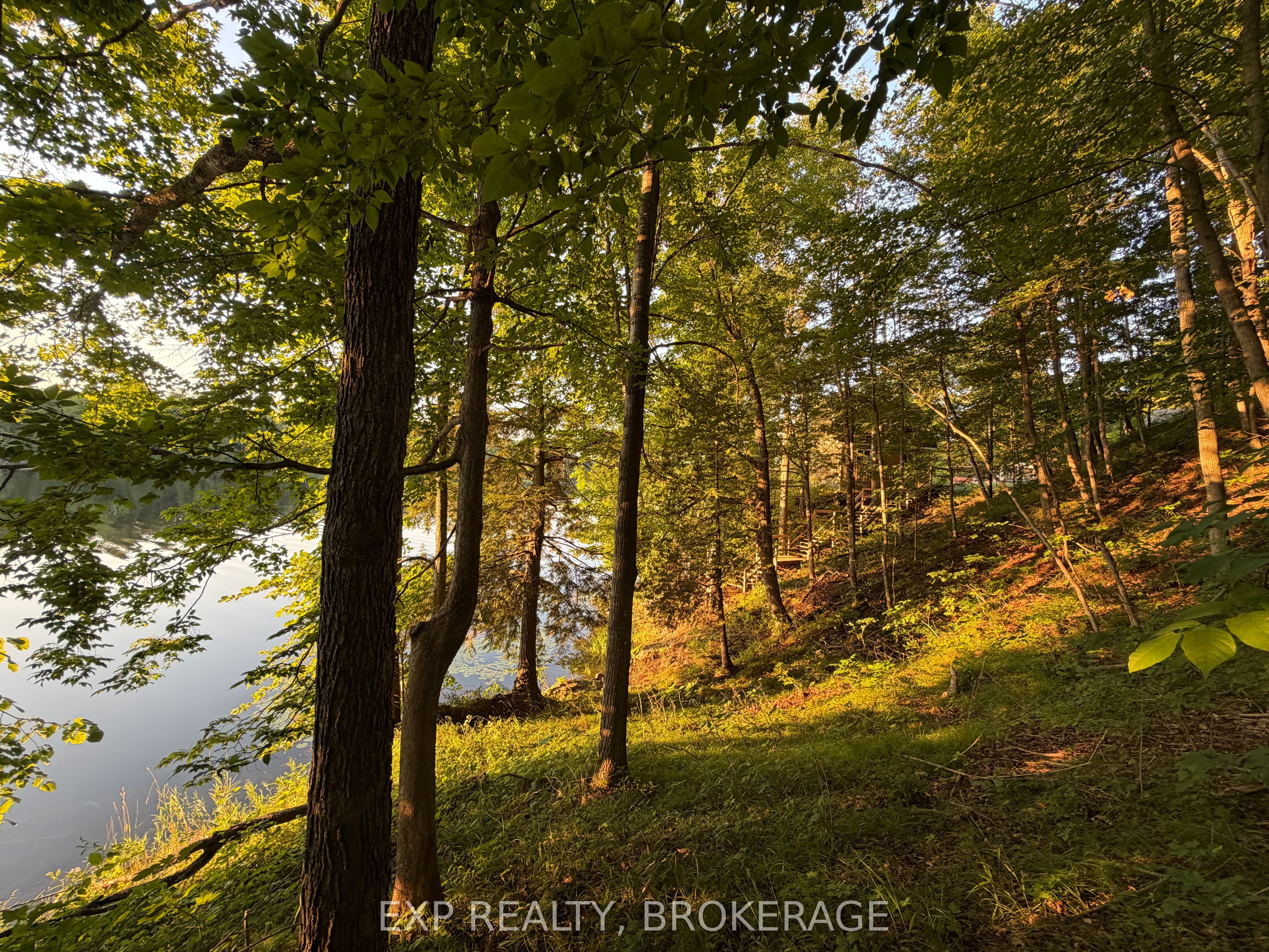 2103 Hambly Lane Property Photo 37