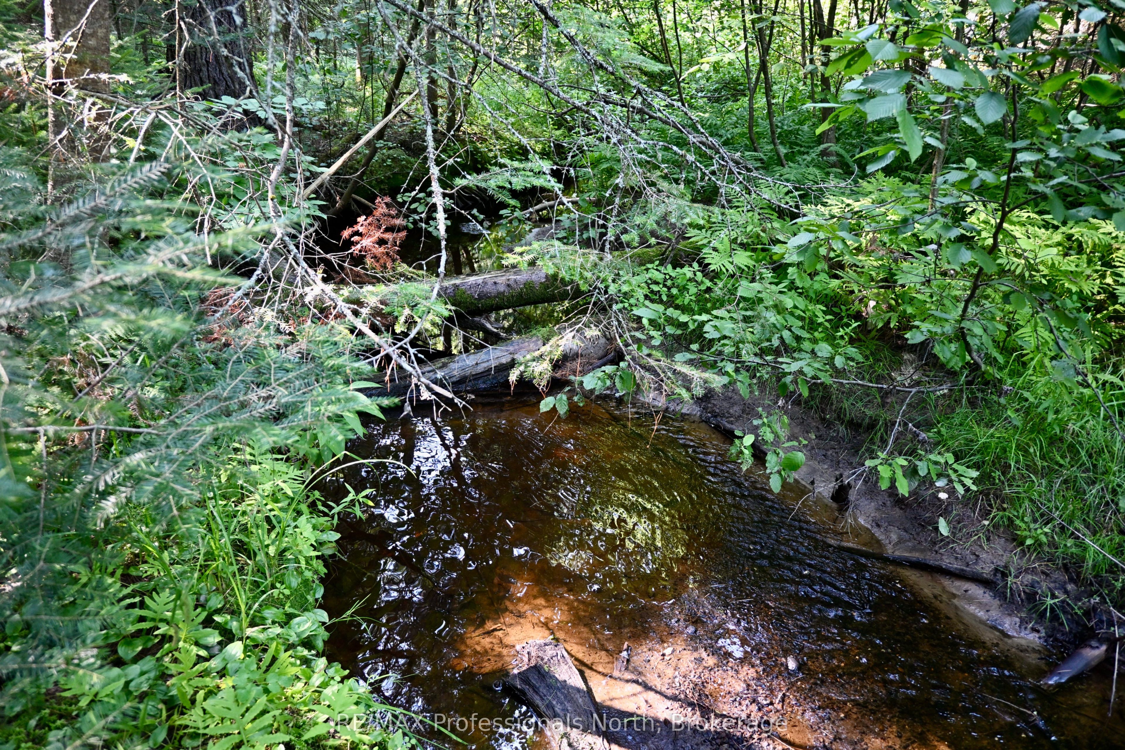 242 Deer Lake Road Property Photo 45