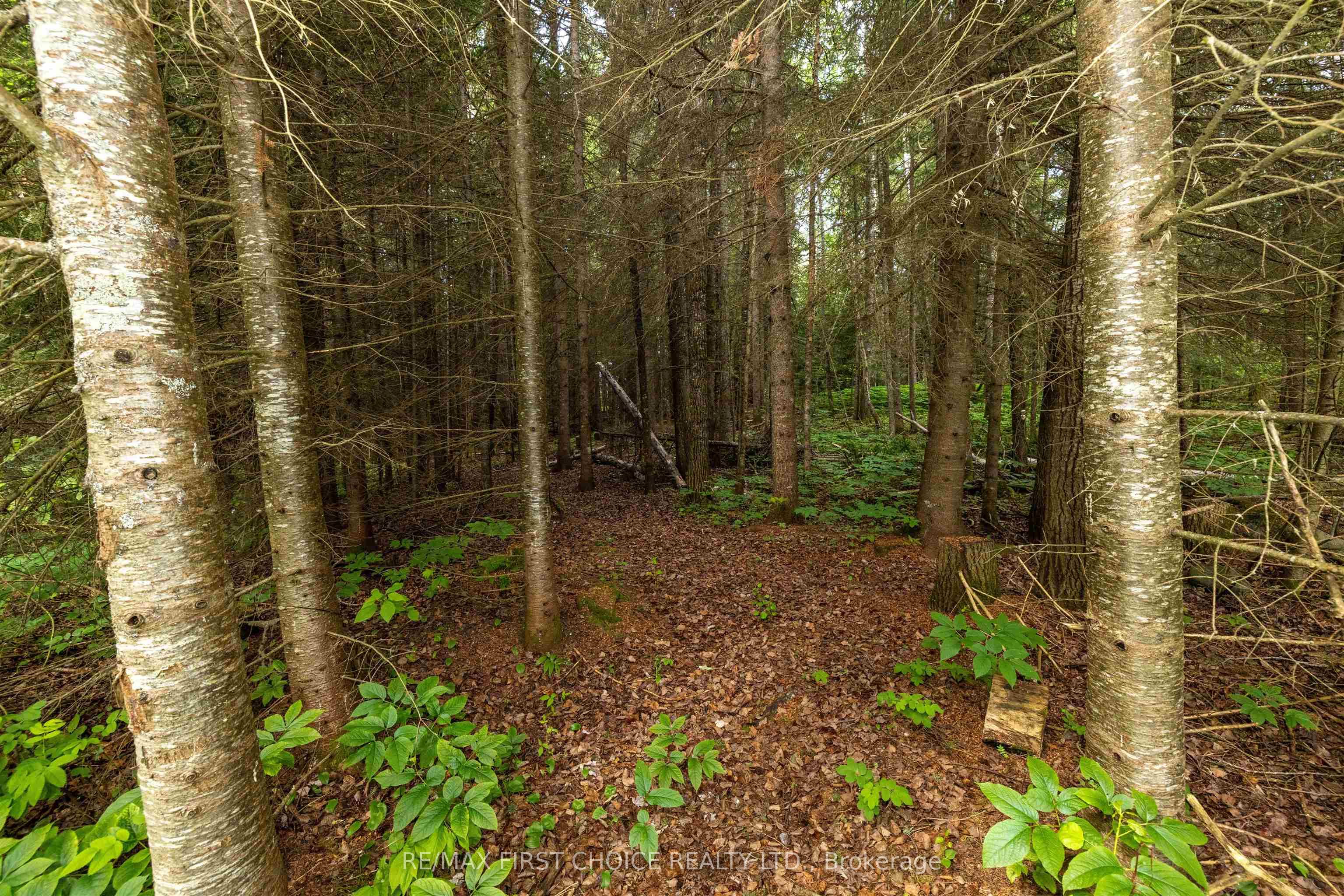 200 Captain Road Property Photo 49