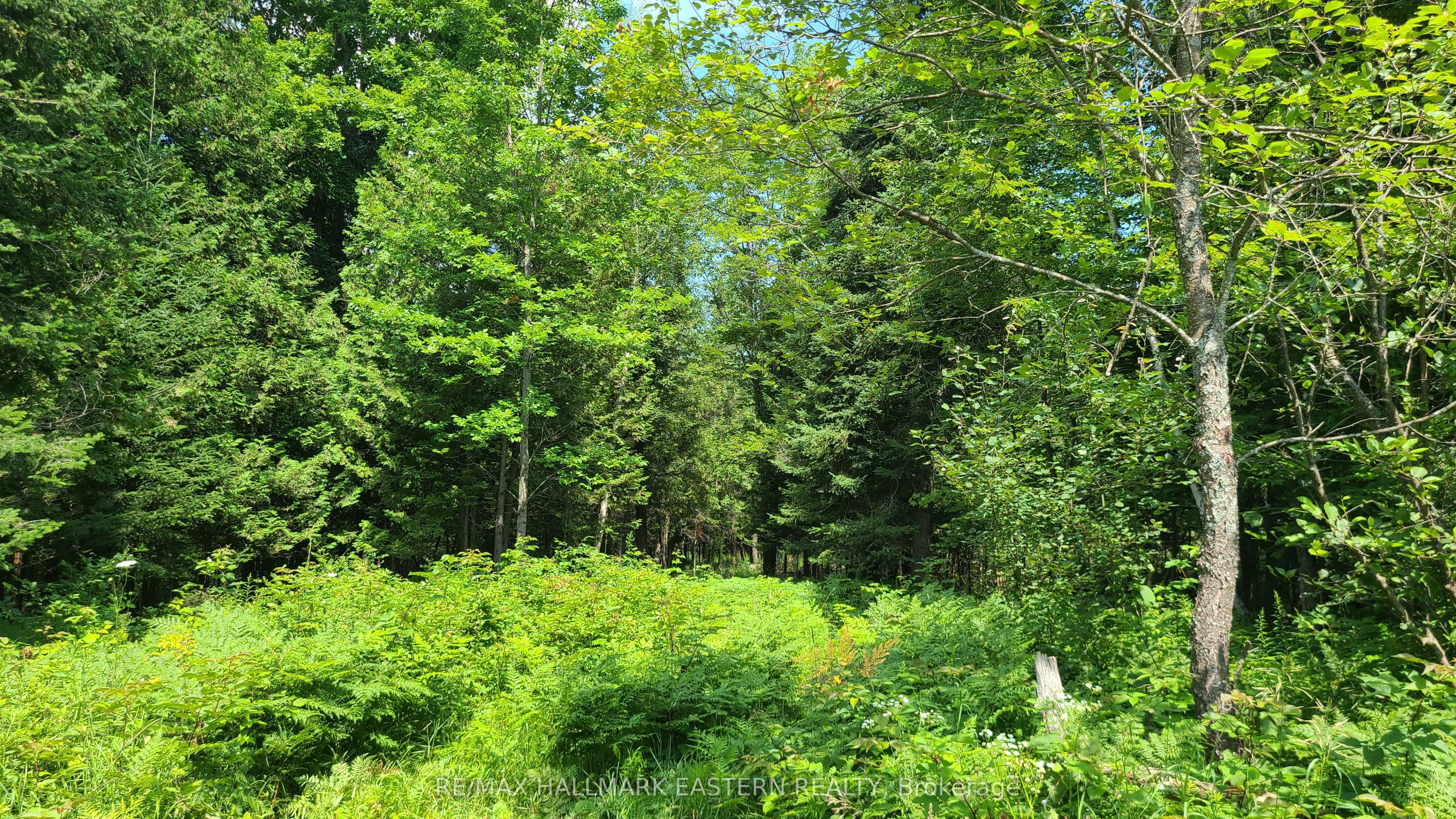 N/a Keating Road N Property Photo 11