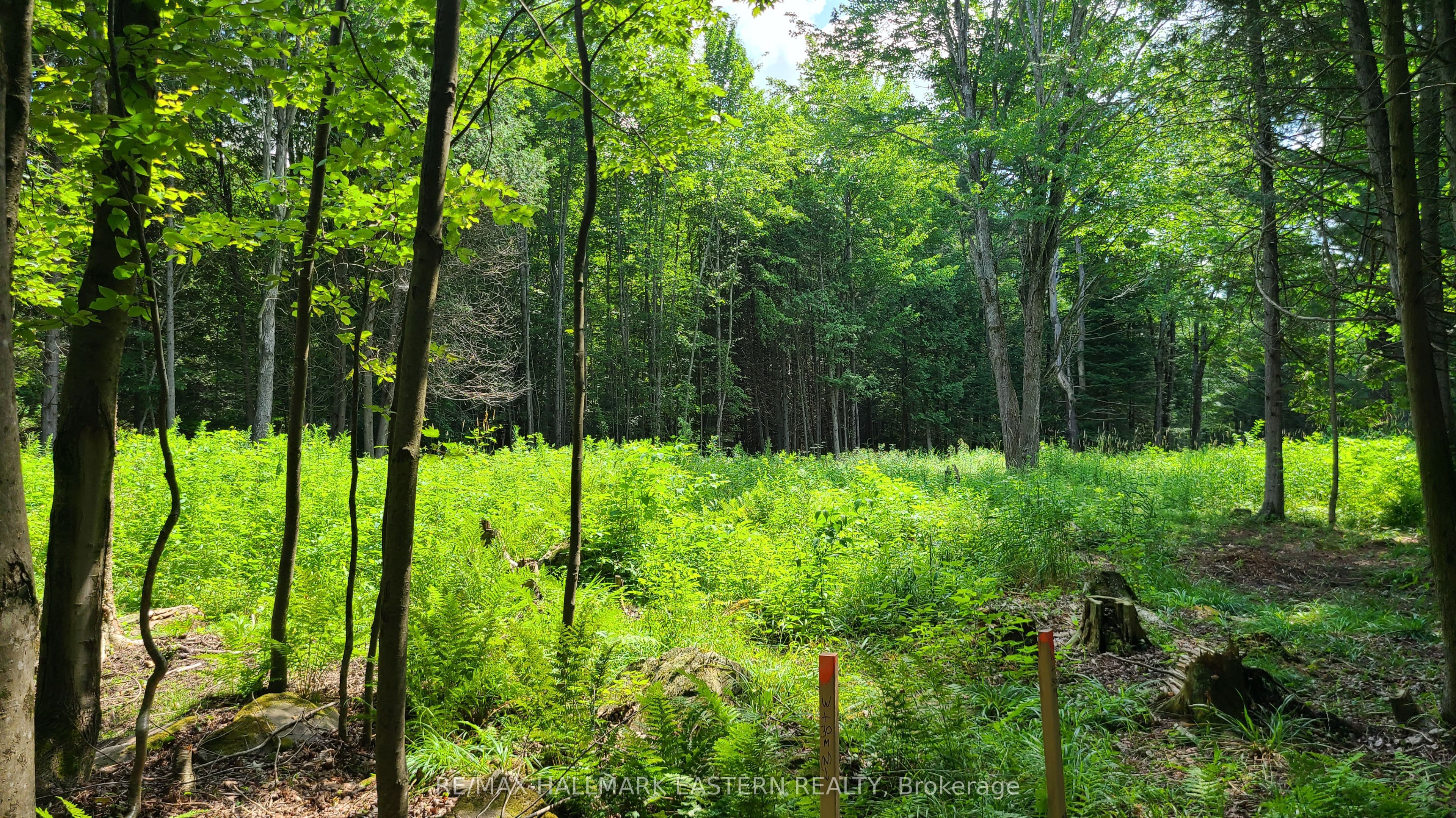 N/a Keating Road N Property Photo 20