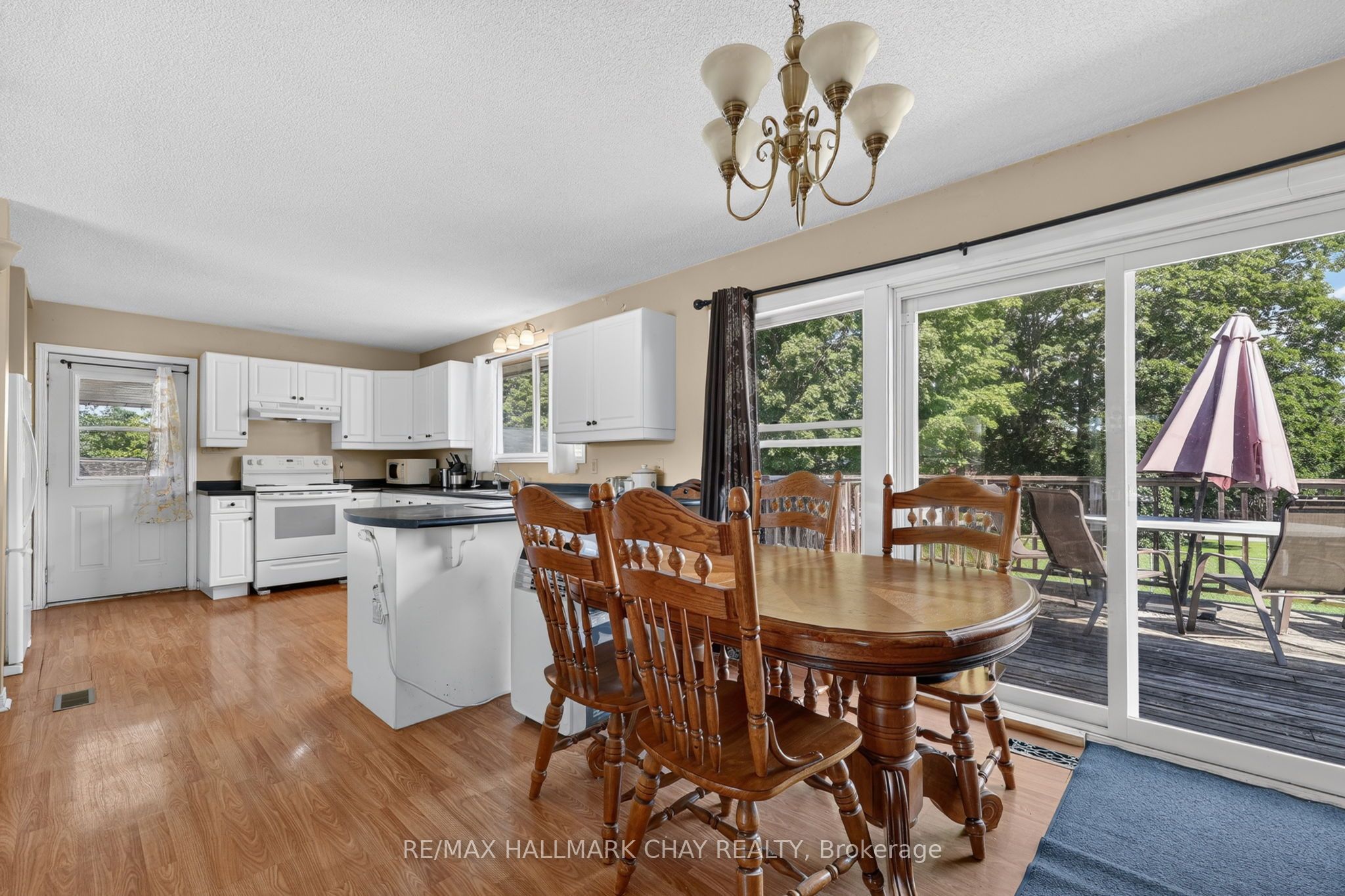 41 Albert Street Property Photo 8