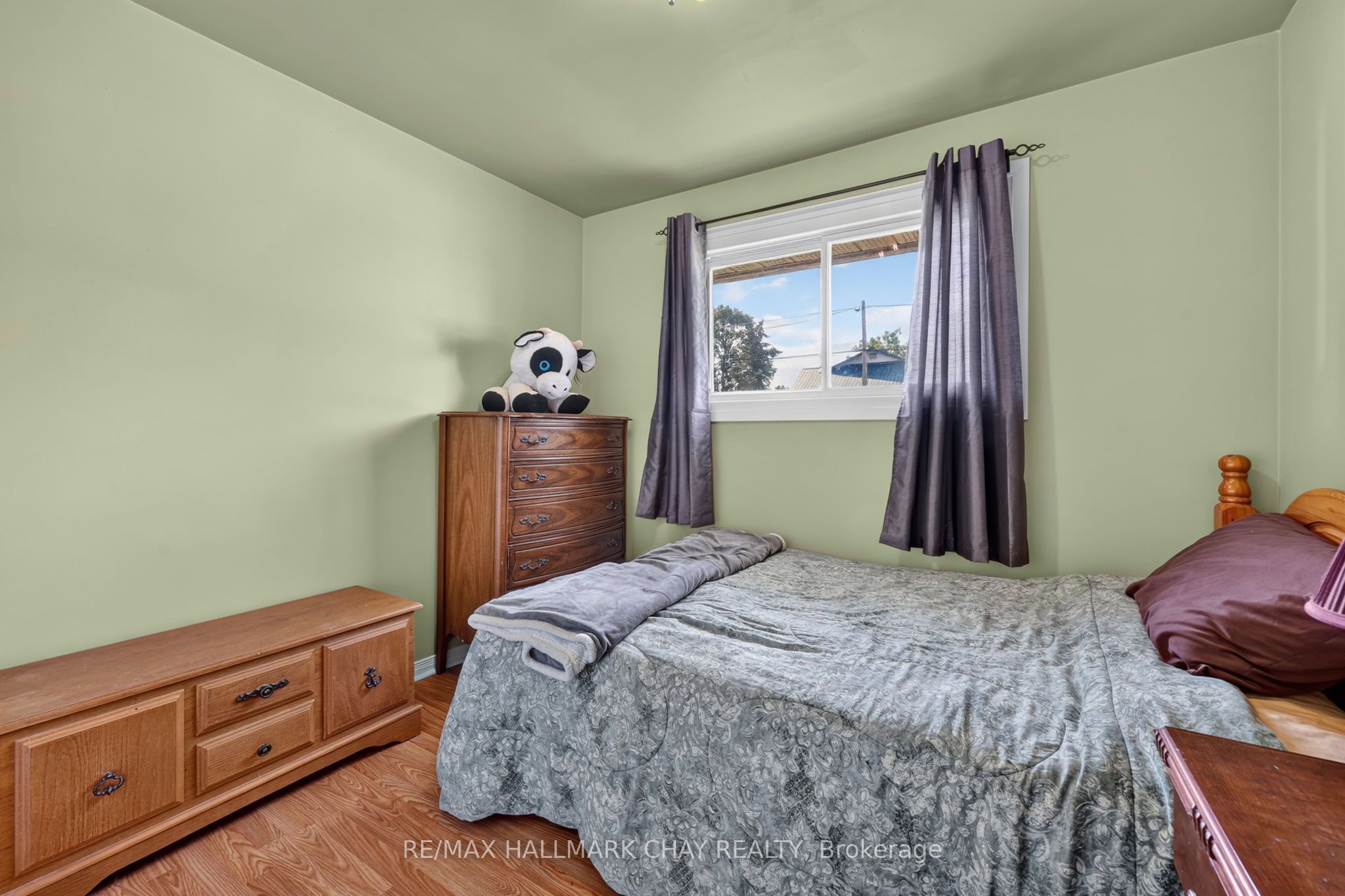 41 Albert Street Property Photo 15