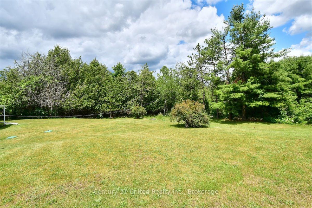 1541 County Road 4 Property Photo 33