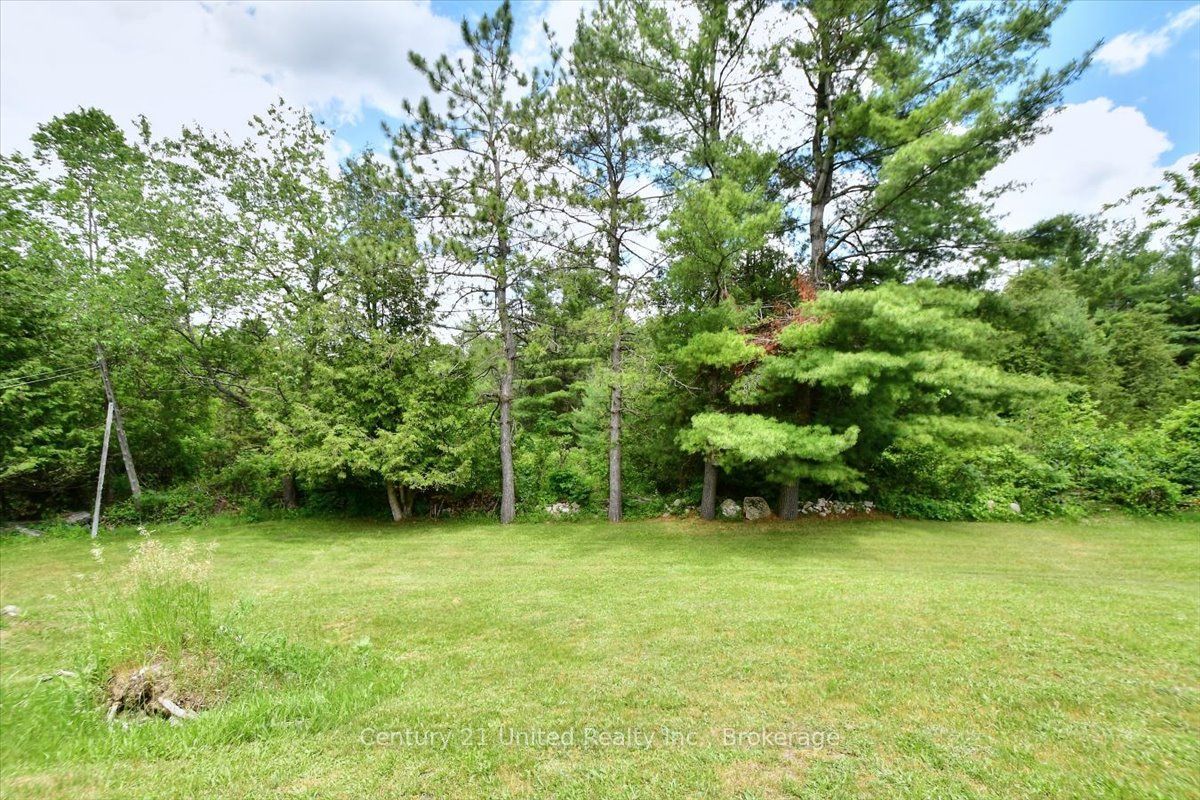 1541 County Road 4 Property Photo 39