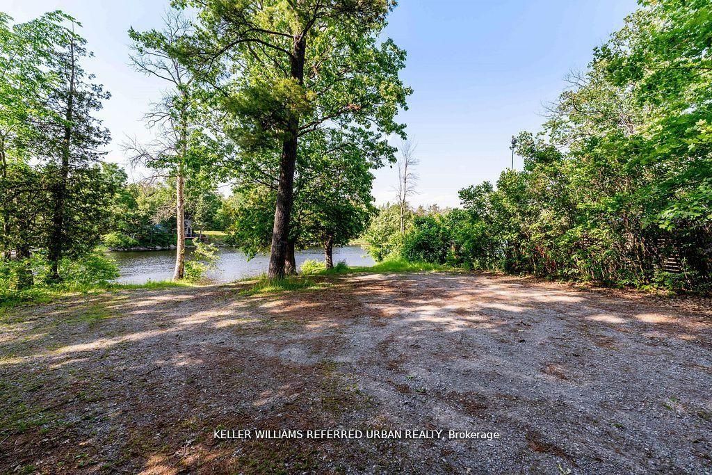 51 Pine Grove Road Property Photo 47
