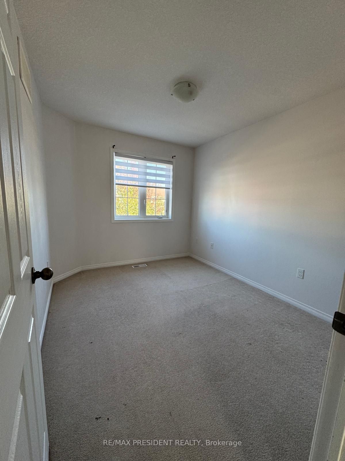 4 Avedisian Street Property Photo 20