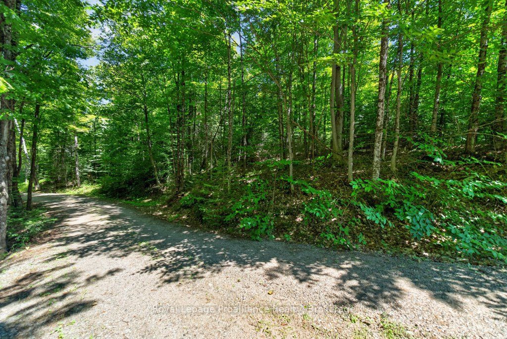 3201 River Road Property Photo 5
