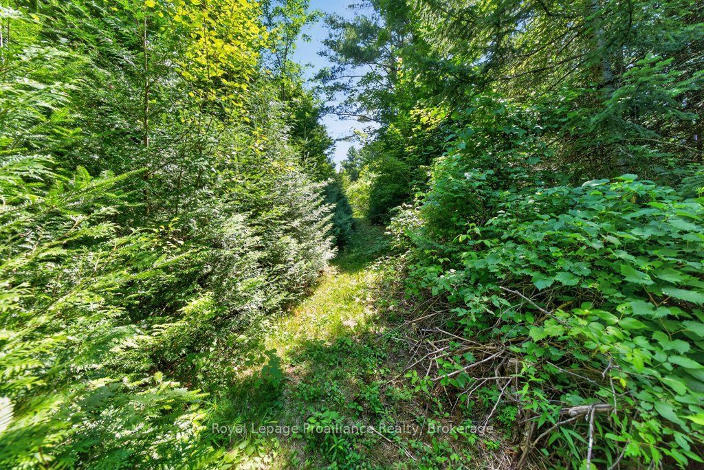 3201 River Road Property Photo 42