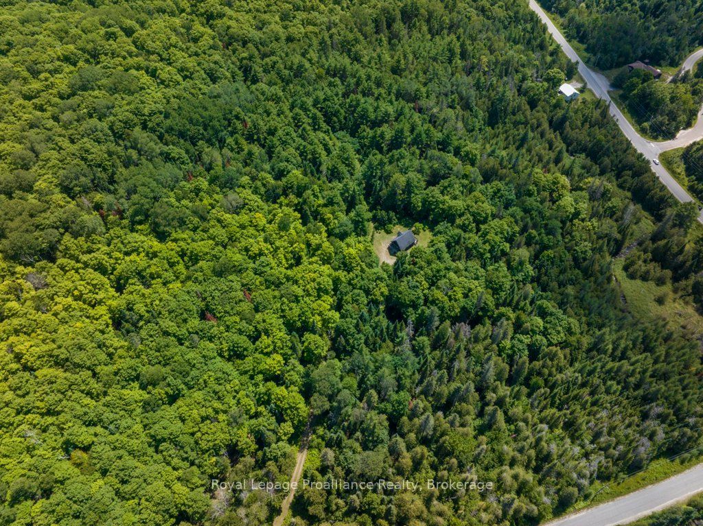 3201 River Road Property Photo 50