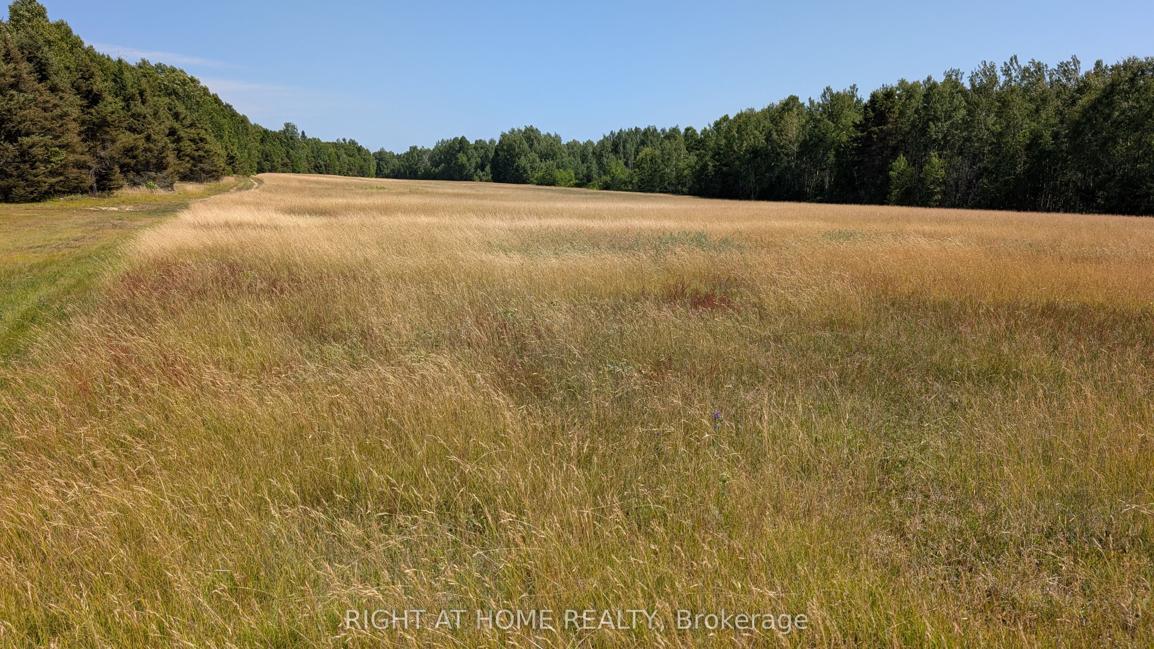191 Ashburton Road Property Photo 7