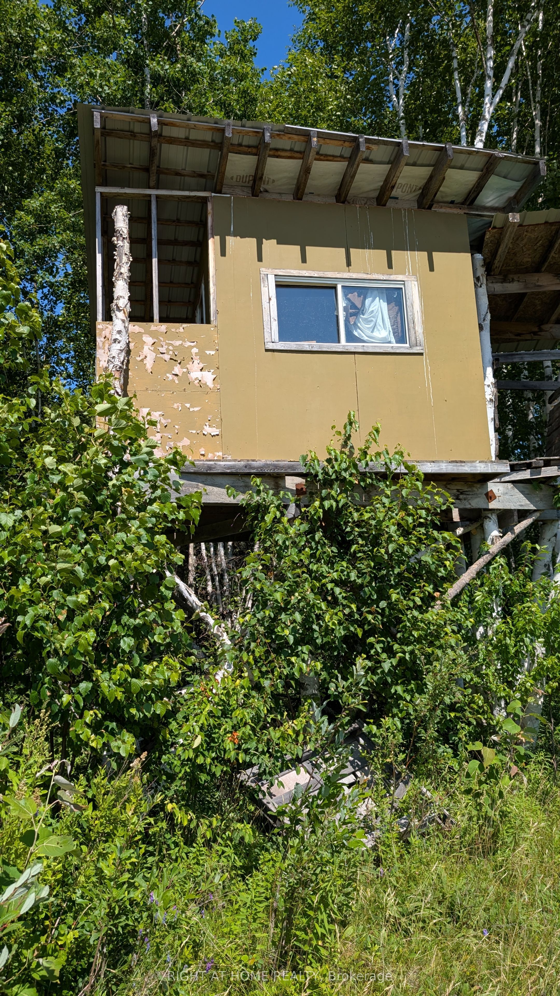 191 Ashburton Road Property Photo 12