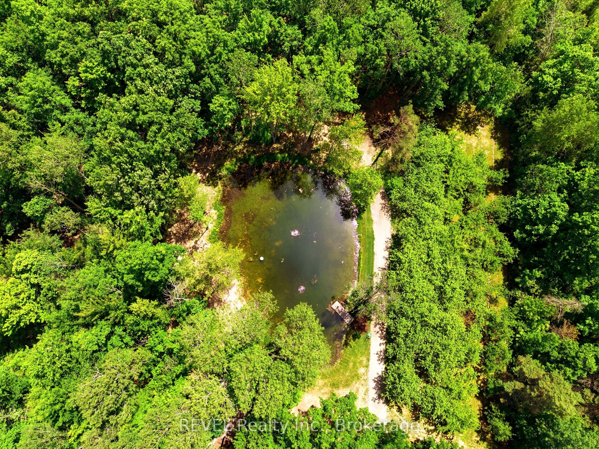 8238 Concession 5 Road Property Photo 43