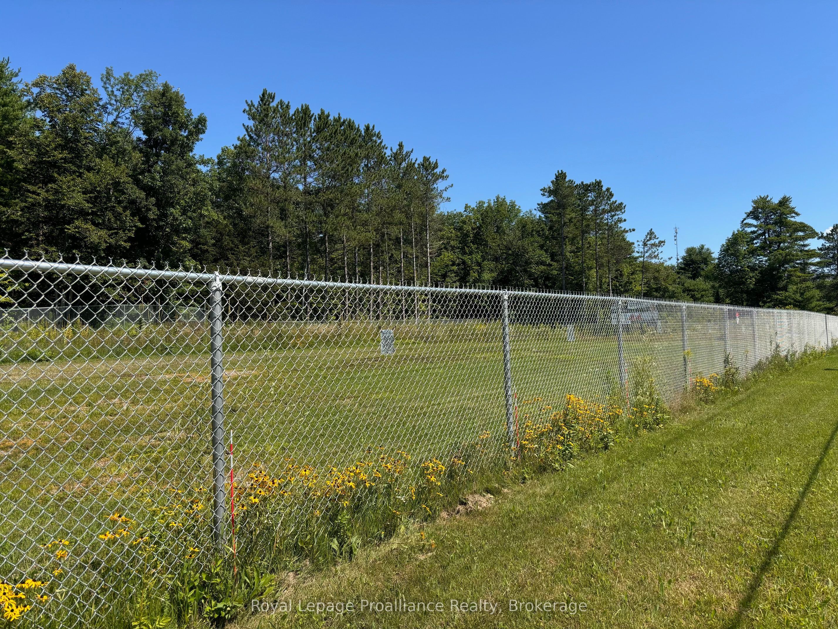 29200 Highway 7 Property Photo 4