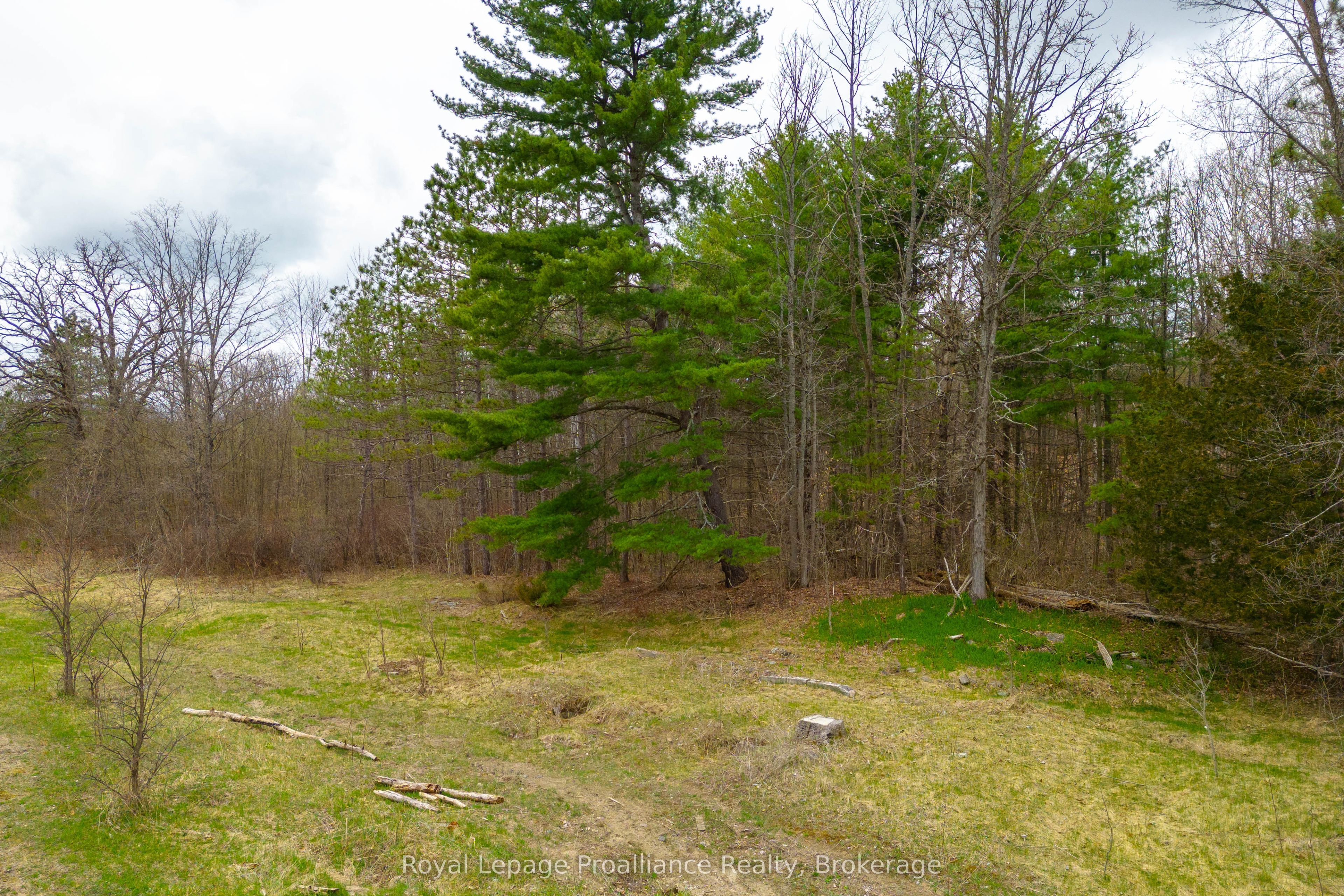 29200 Highway 7 Property Photo 28