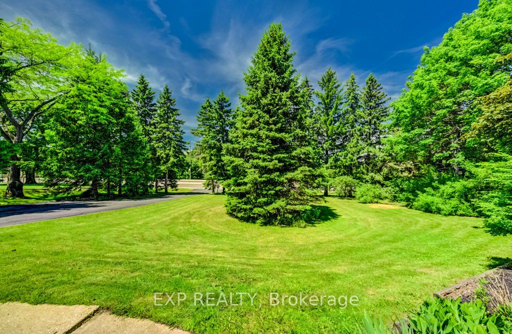 194 Dundas Street E Property Photo 38