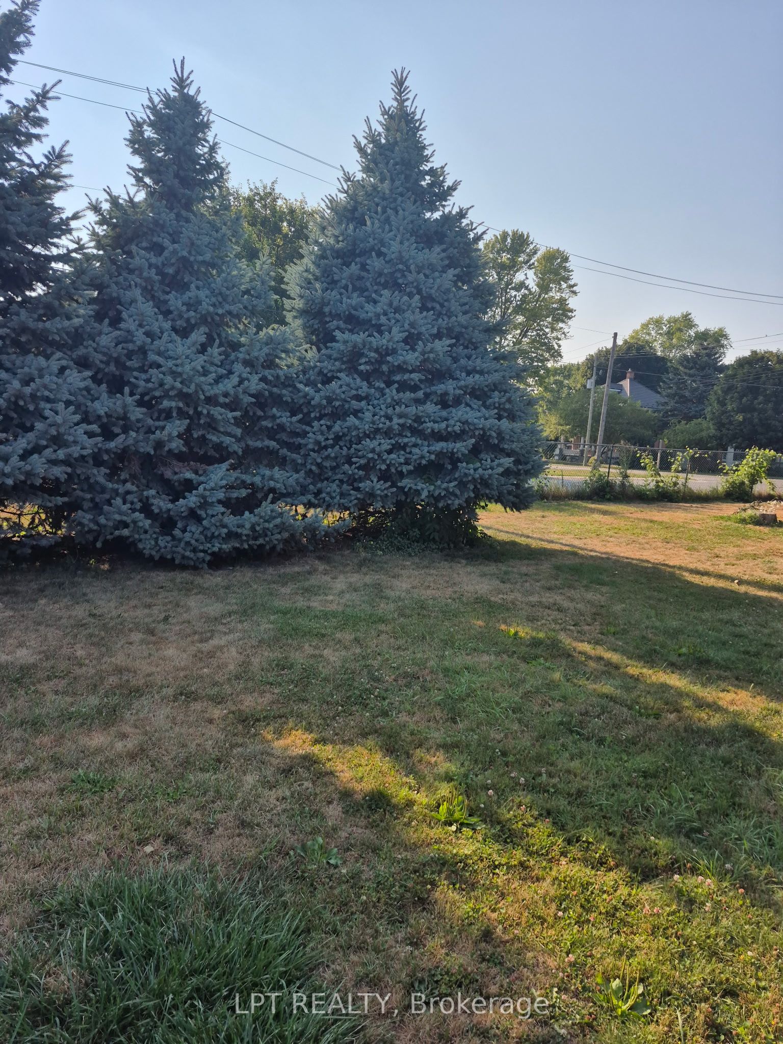 19 John Park Line Tupperville Property Photo 32