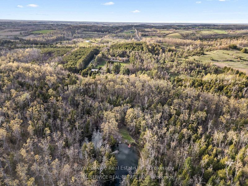 435 Bland Line Property Photo 49