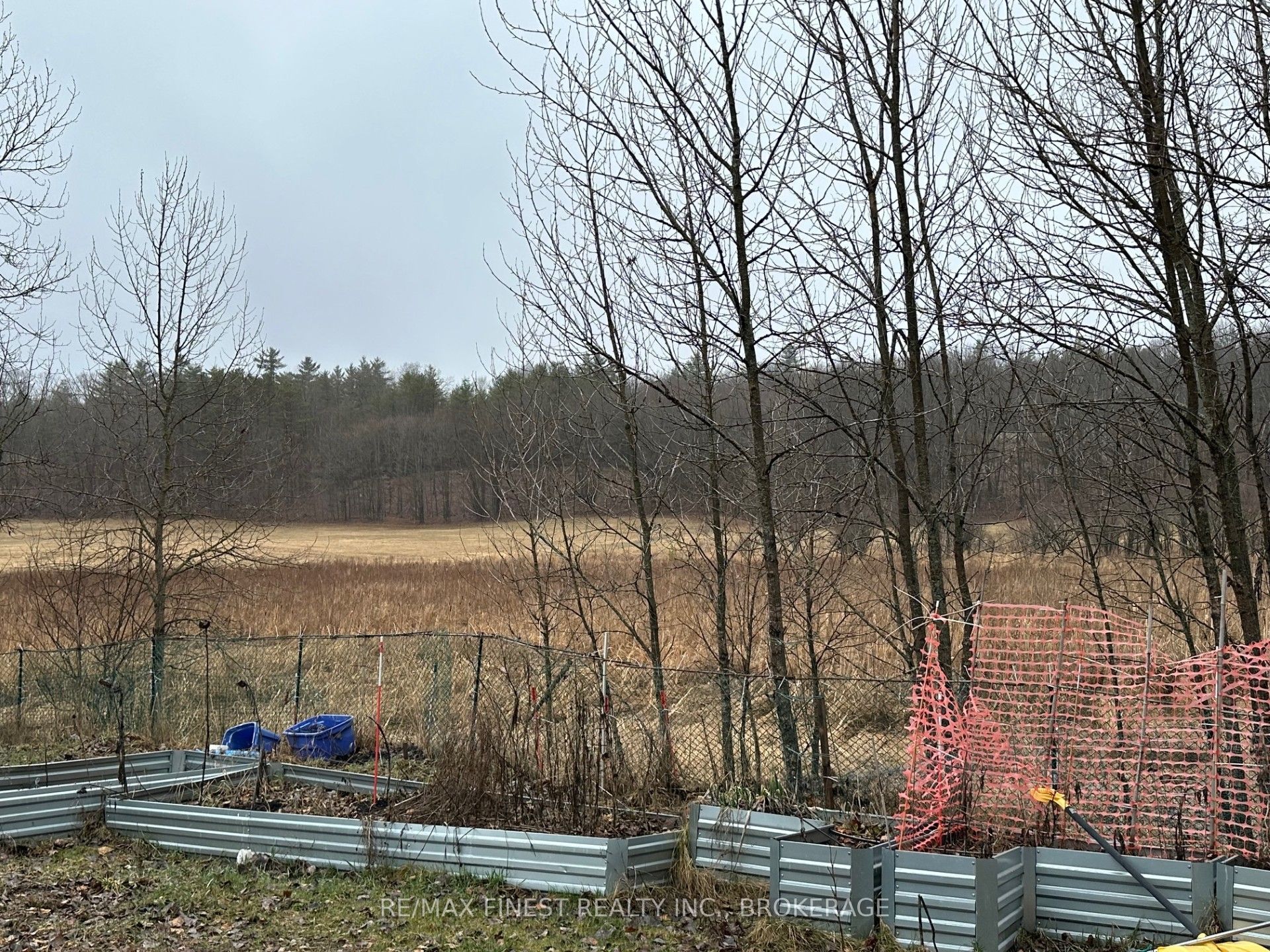 1440 Mountain Grove Road Property Photo 3