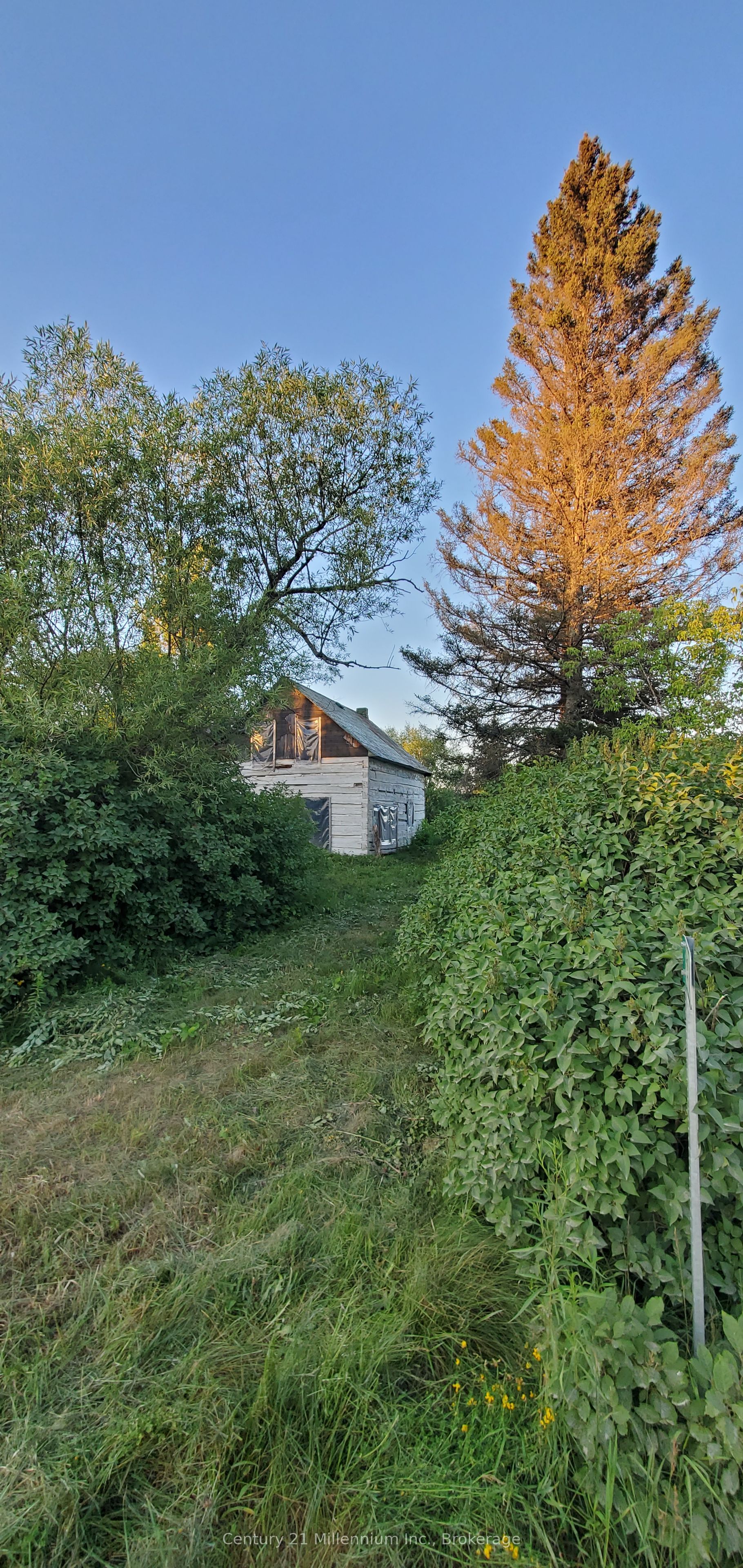 638 Chenier Road Property Photo 6