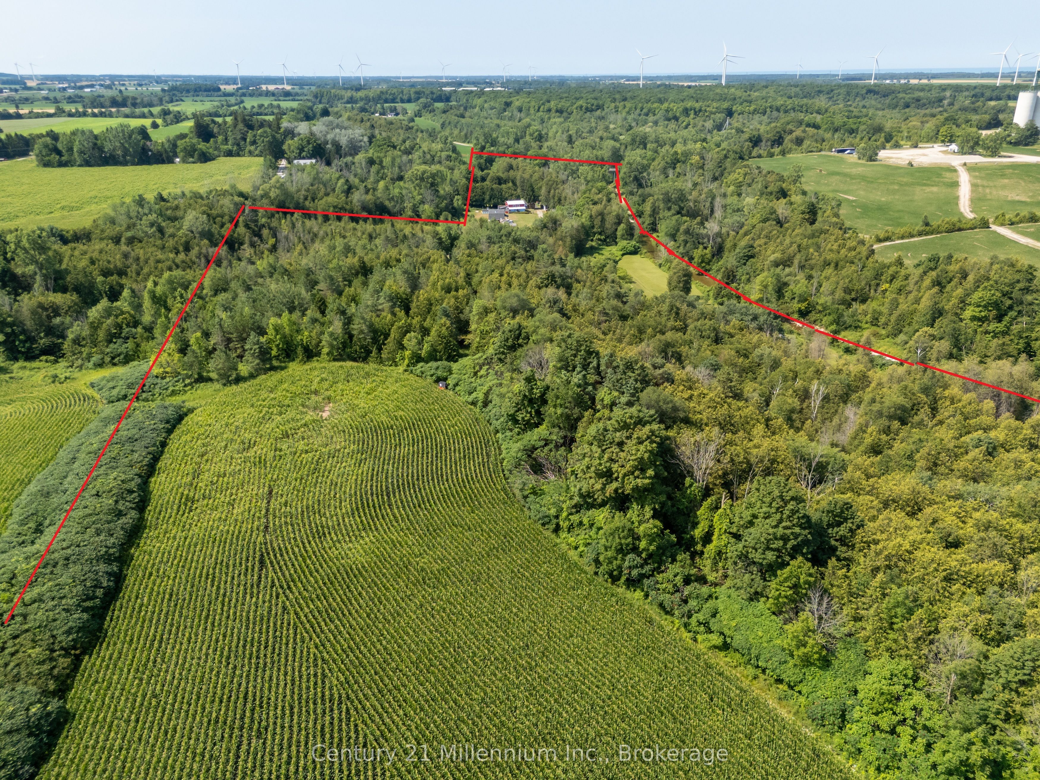 36826 Dungannon Road Property Photo 11