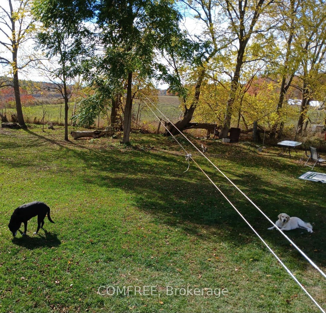 2 Miller Street Property Photo 25