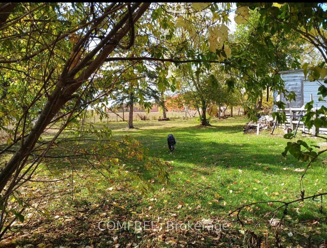 2 Miller Street Property Photo 28